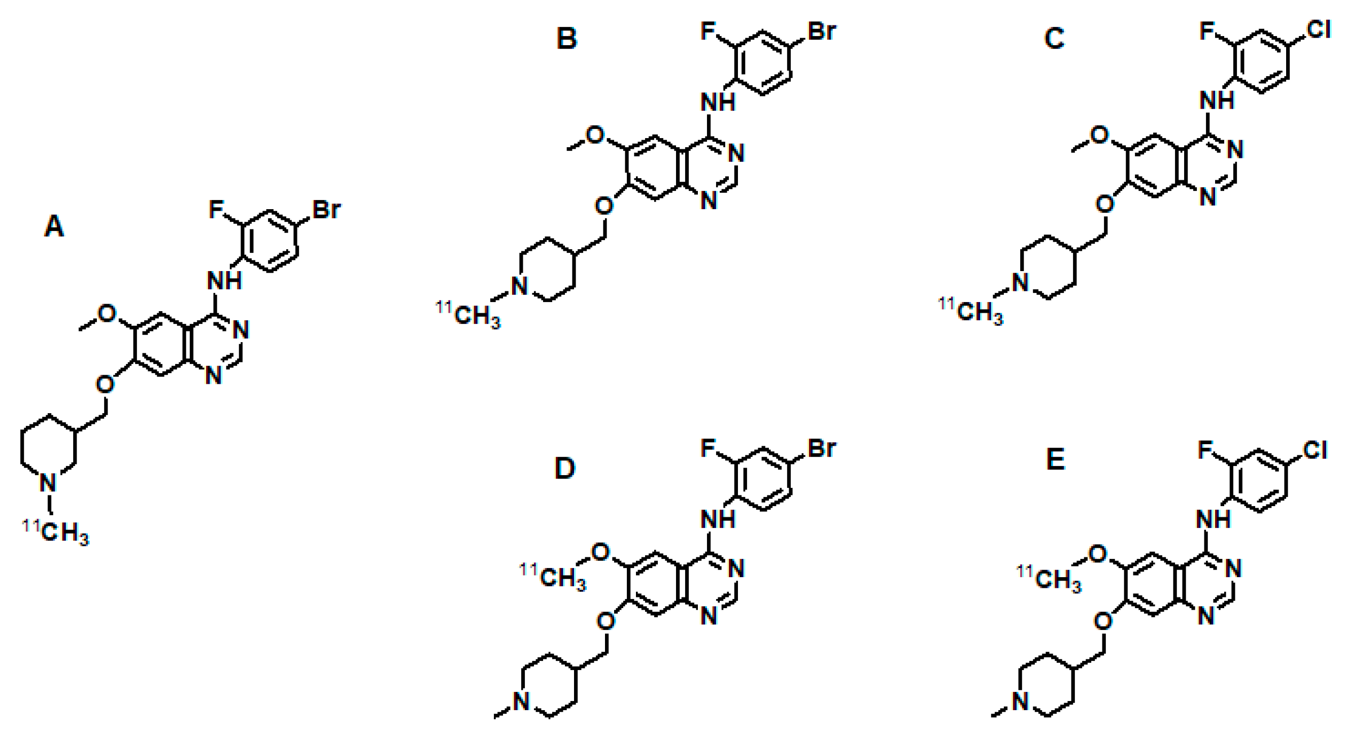 Cancers 13 01072 g005