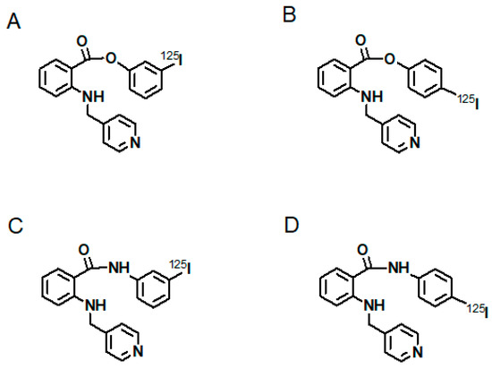 最新モデル as Receptors VEGF of Role The Molecular Nuclear in Target 乳液・ミルク