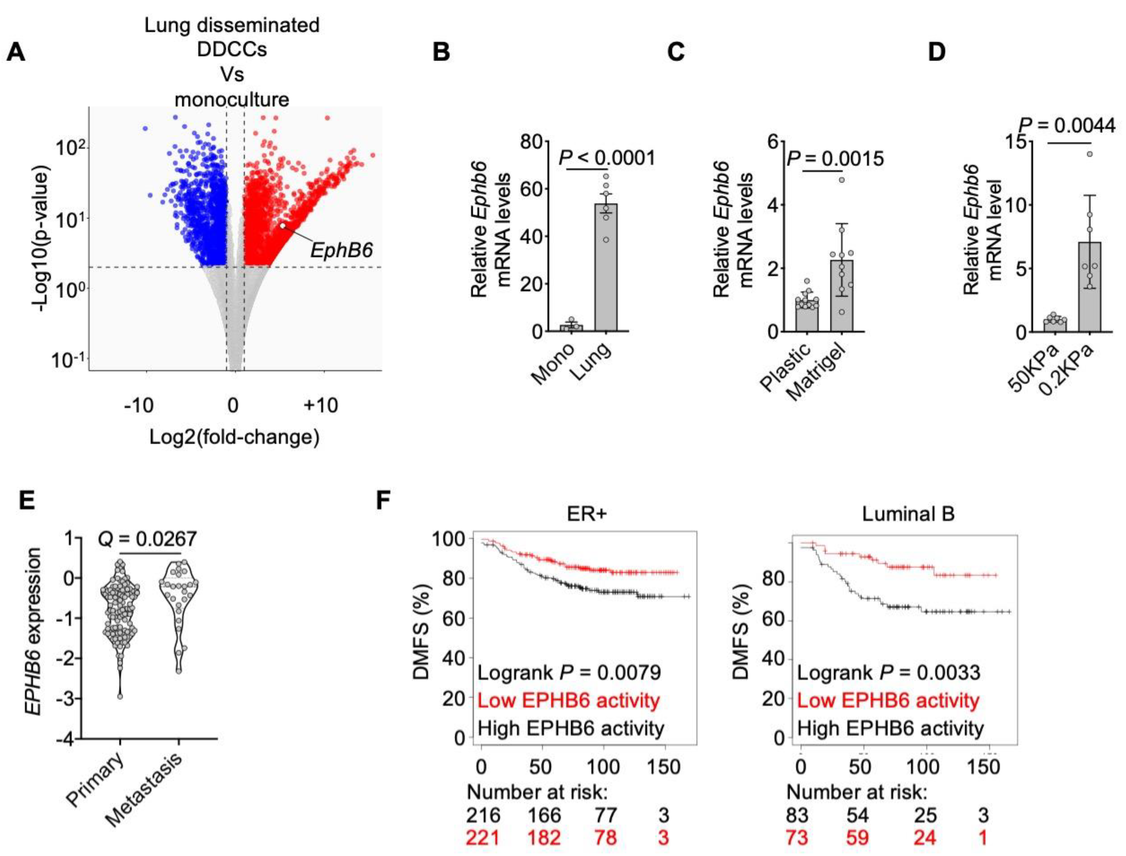 Cancers 13 01079 g002 Cancers 13 01079 g002