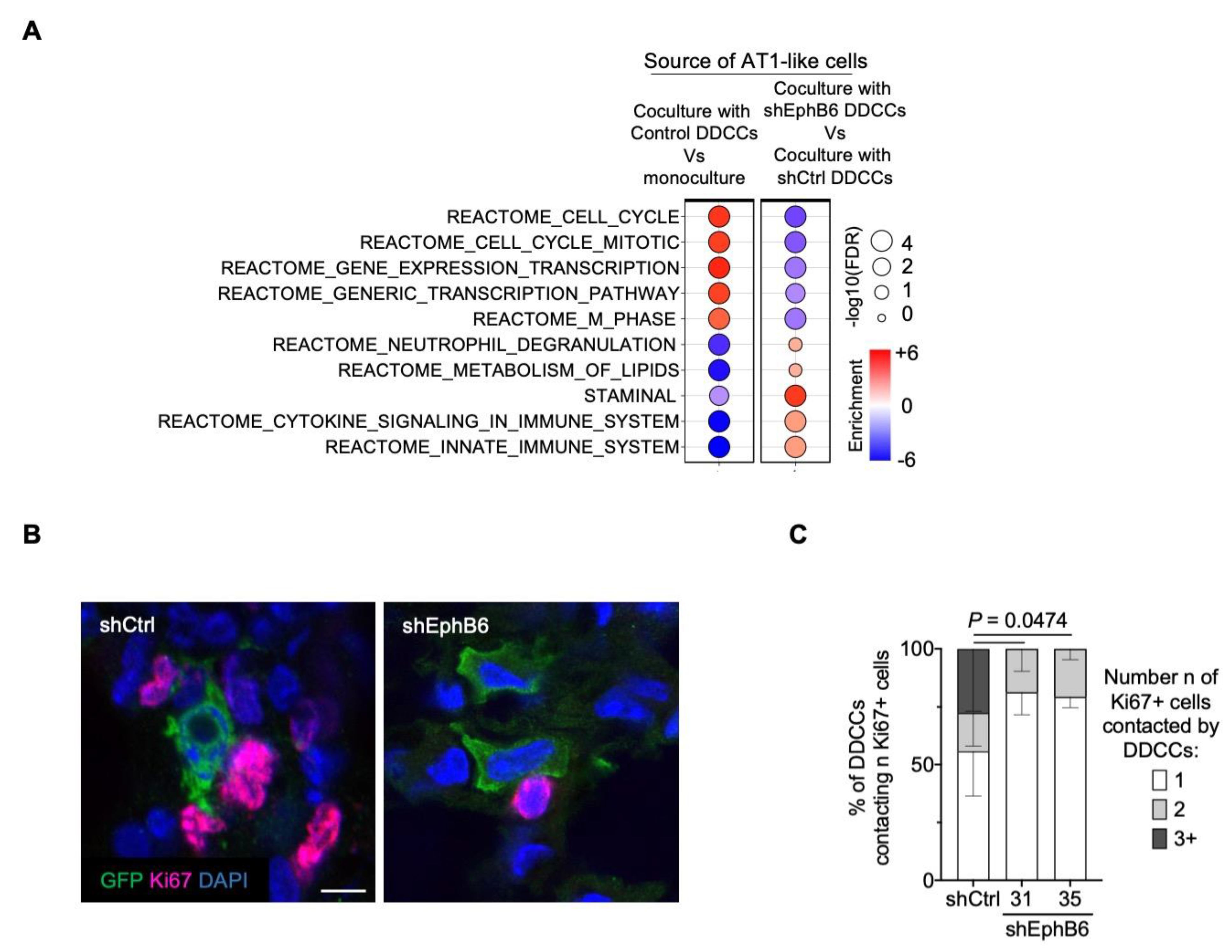 Cancers 13 01079 g003 Cancers 13 01079 g003