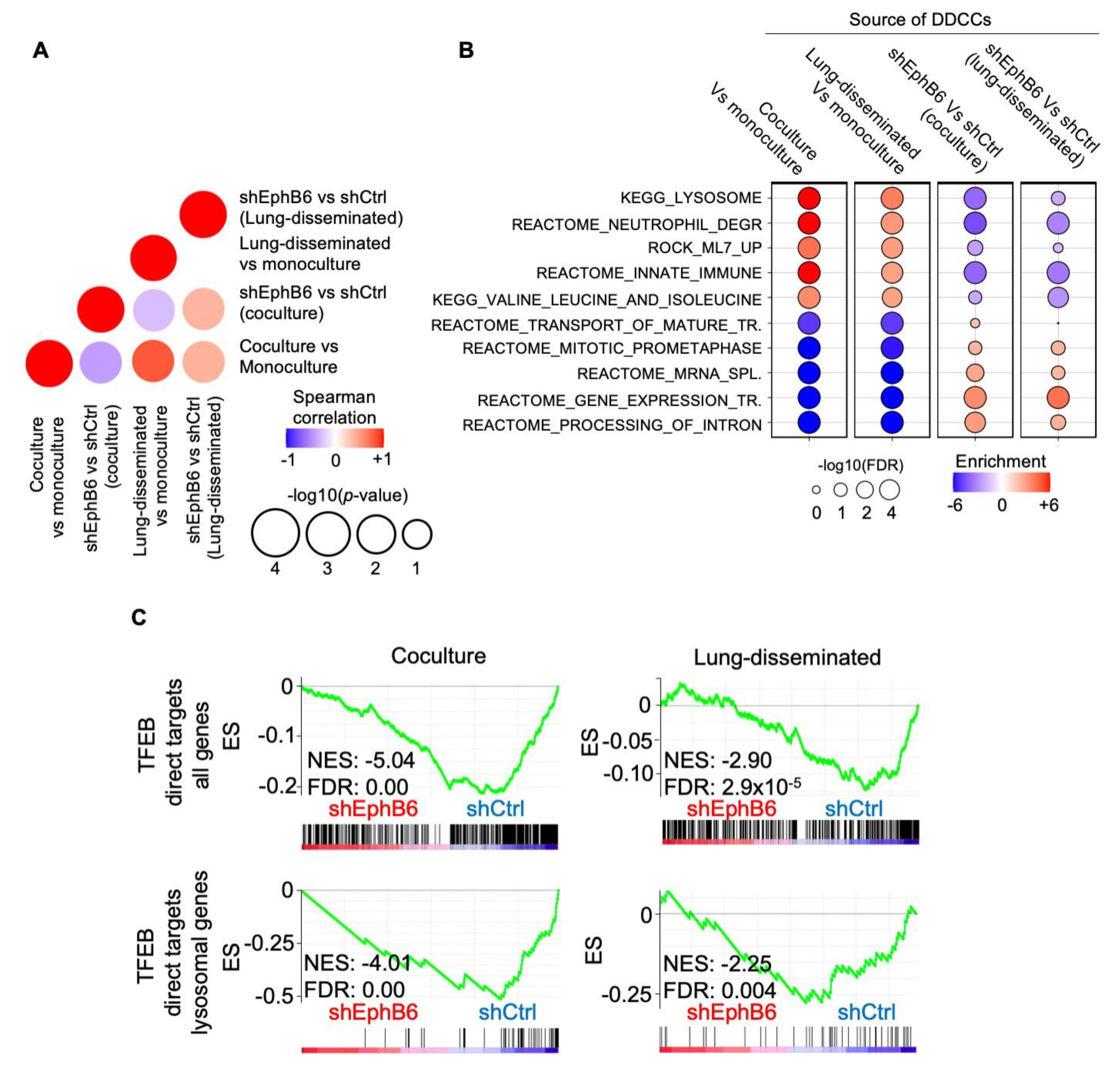 Cancers 13 01079 g004 Cancers 13 01079 g004
