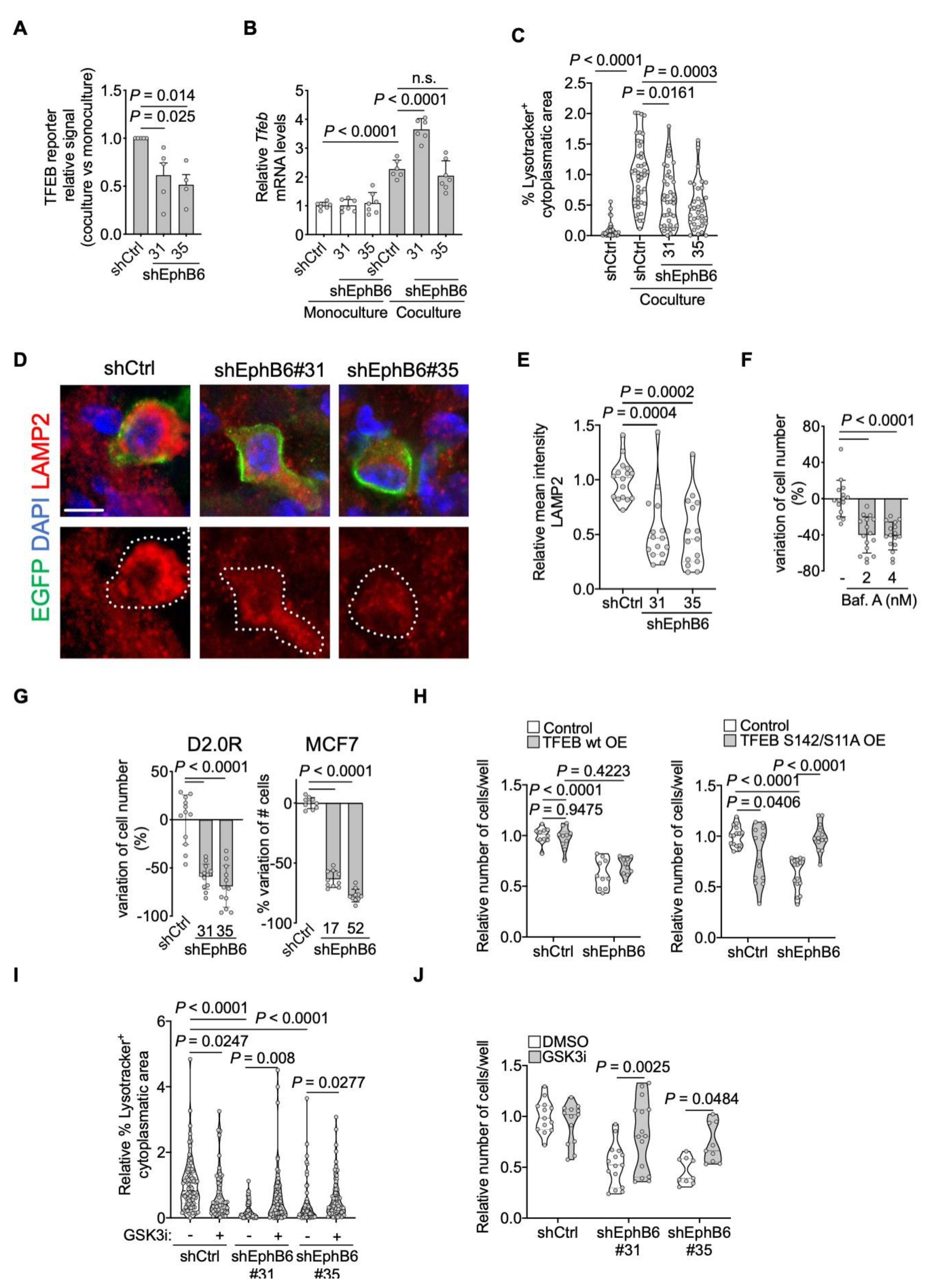 Cancers 13 01079 g005 Cancers 13 01079 g005