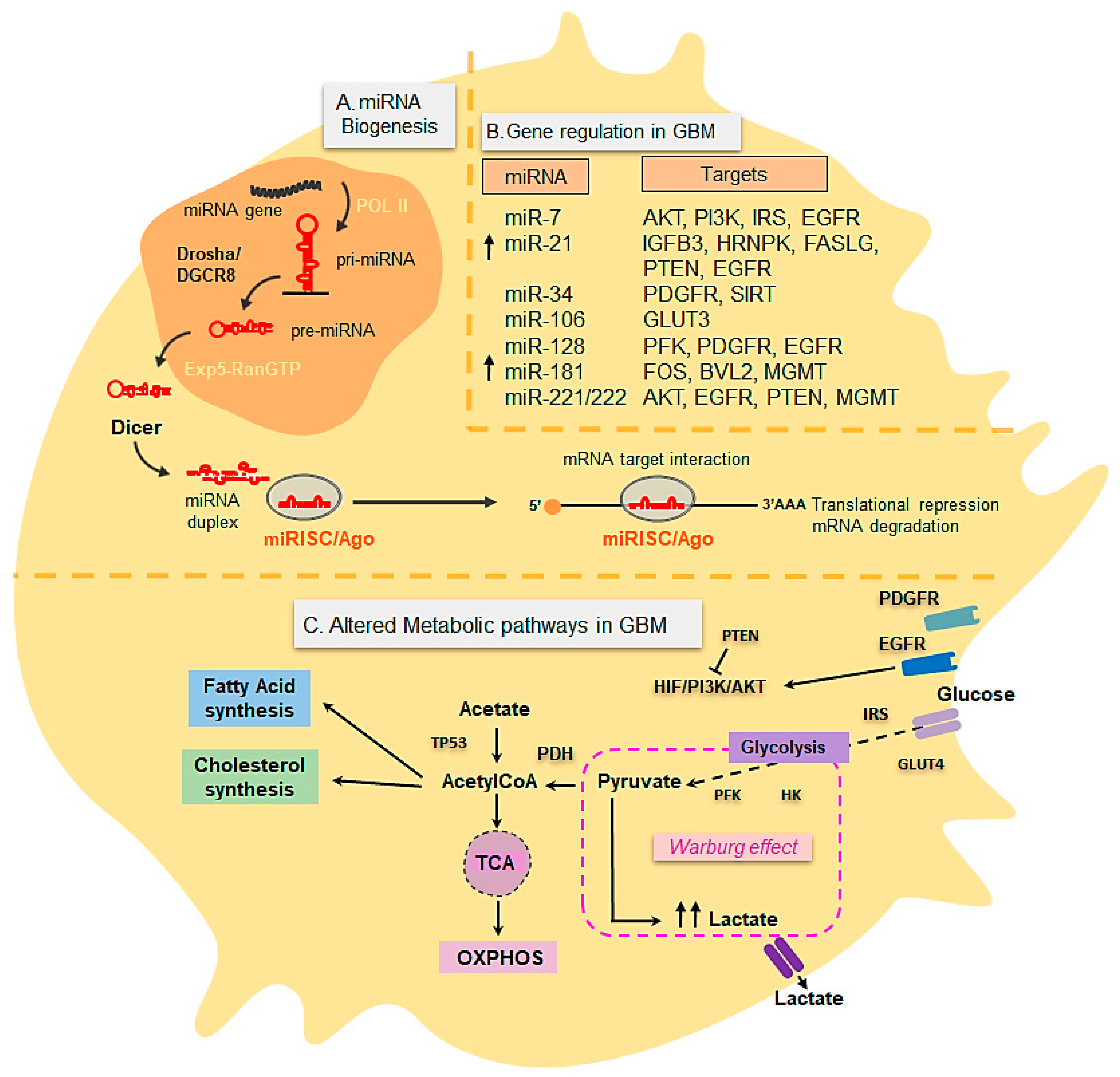 Cancers 13 01087 g002 Cancers 13 01087 g002