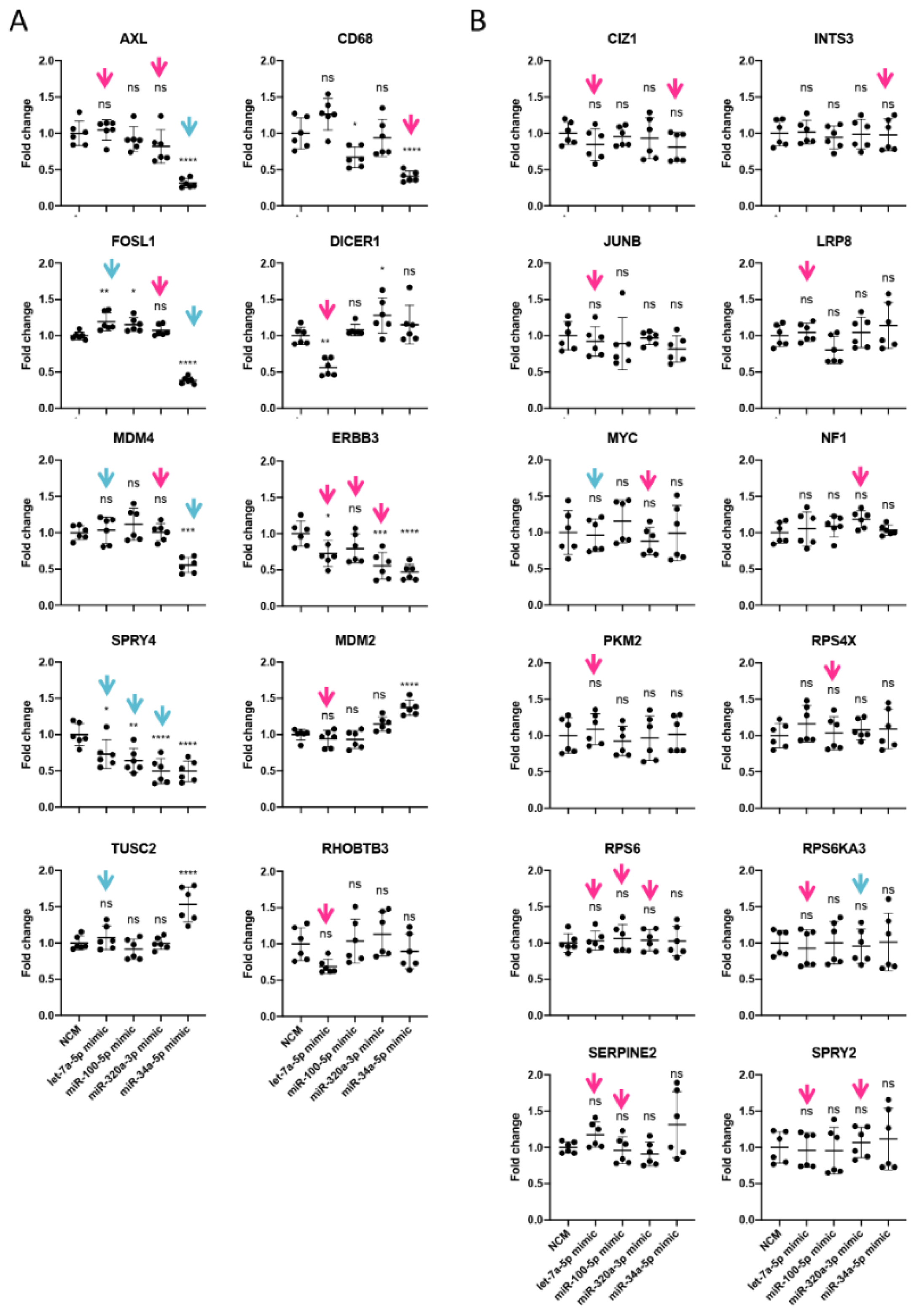 Cancers 13 01096 g007 Cancers 13 01096 g007