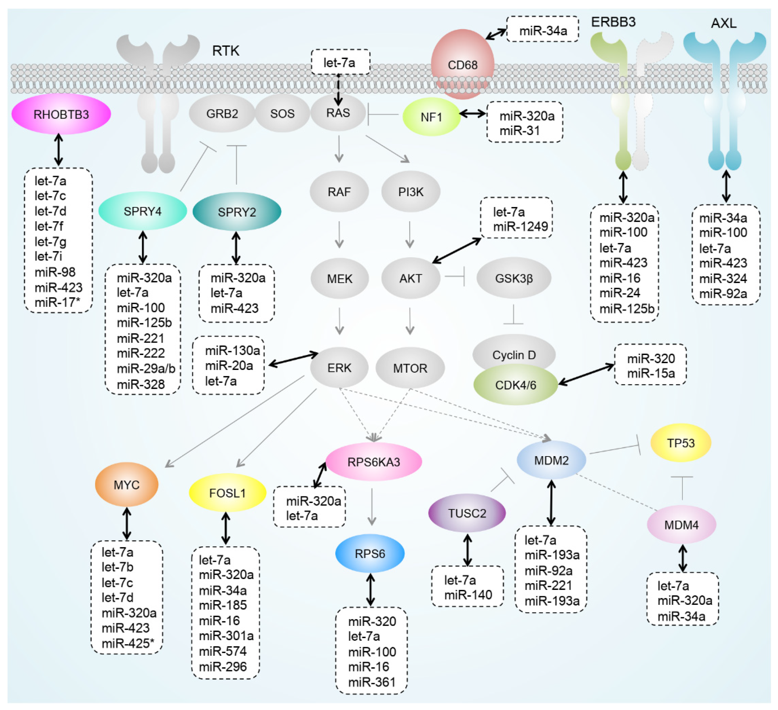 Cancers 13 01096 g009 Cancers 13 01096 g009