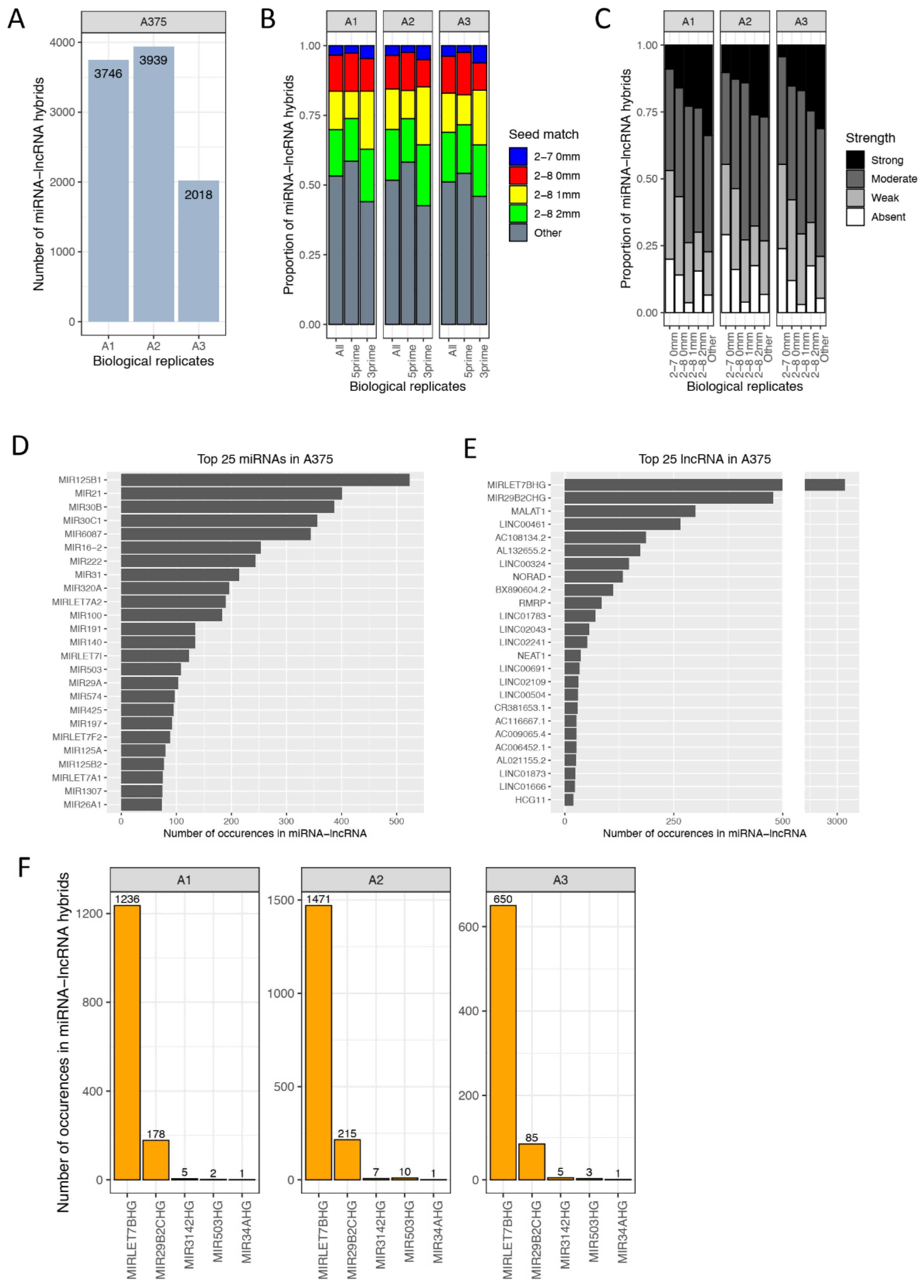 Cancers 13 01096 g010 Cancers 13 01096 g010