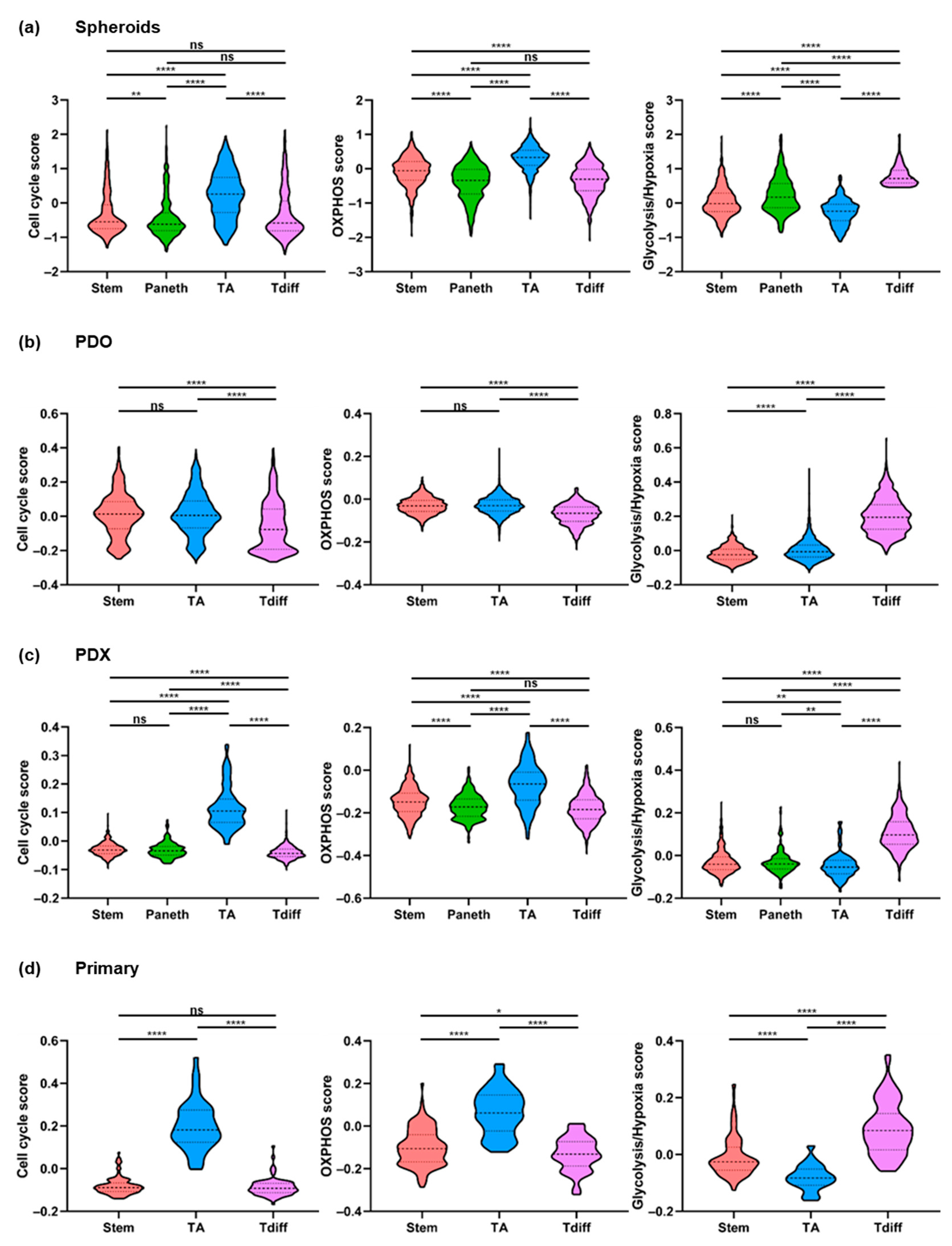Cancers 13 01097 g003
