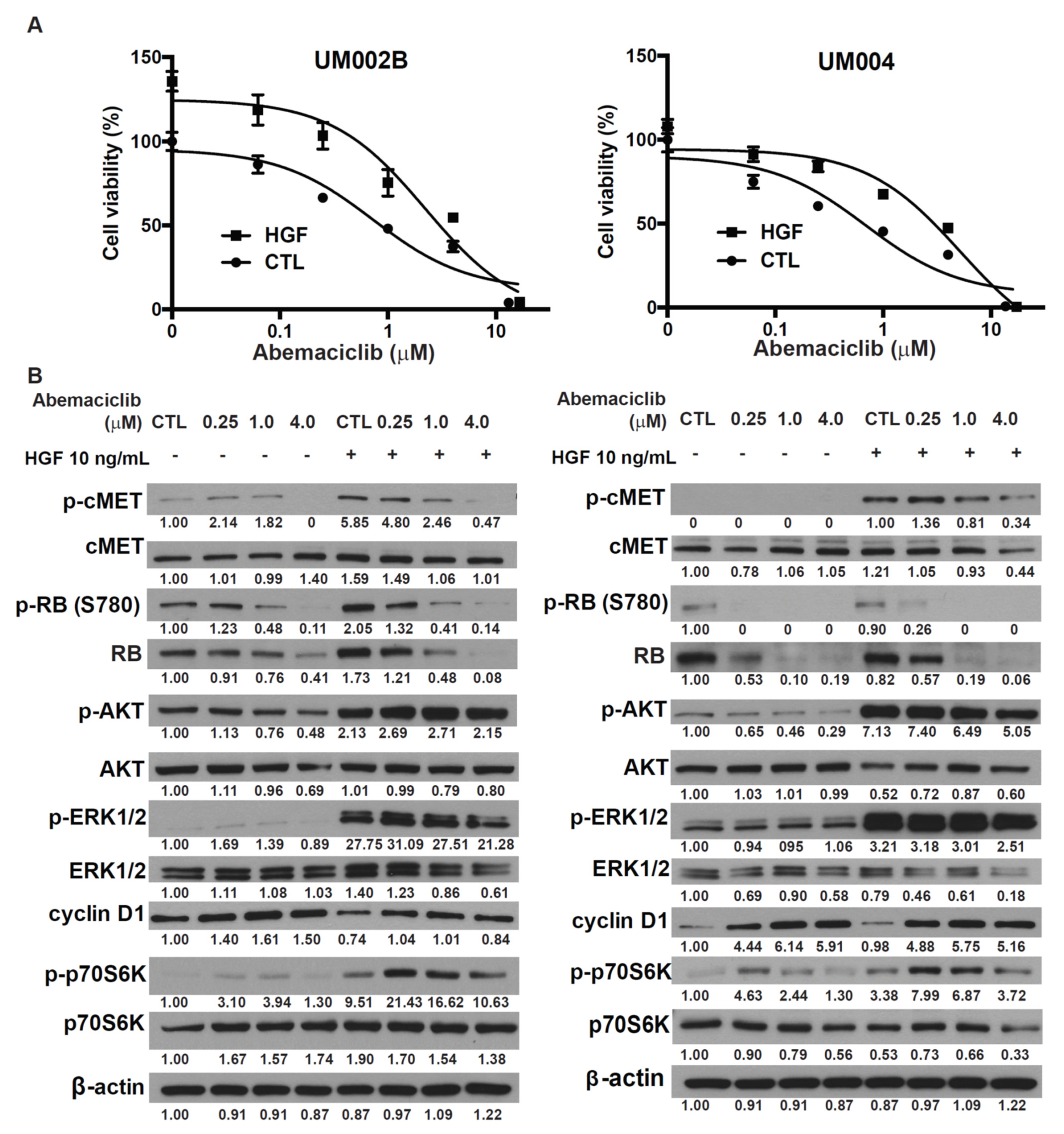 Cancers 13 01104 g003 Cancers 13 01104 g003