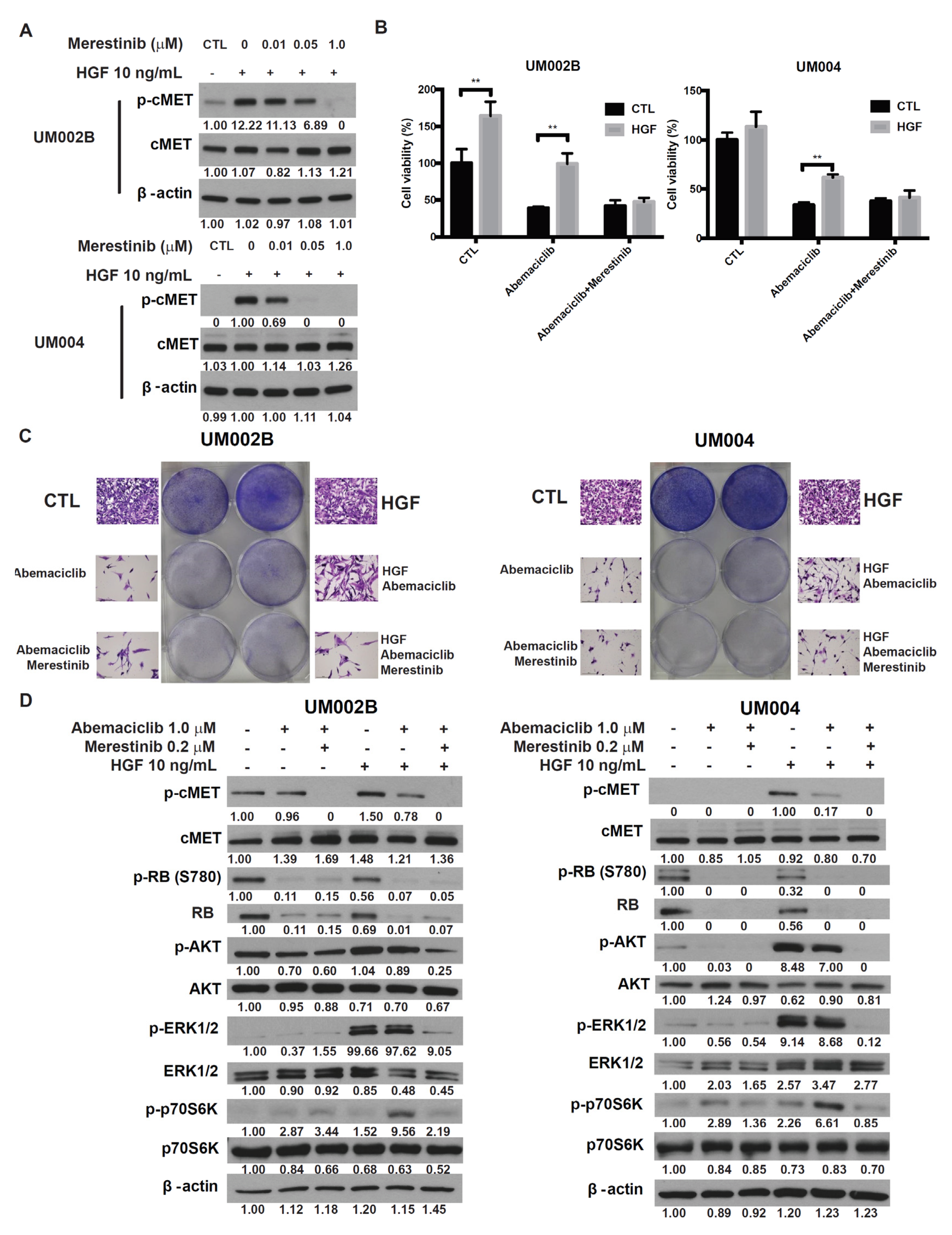 Cancers 13 01104 g004 Cancers 13 01104 g004