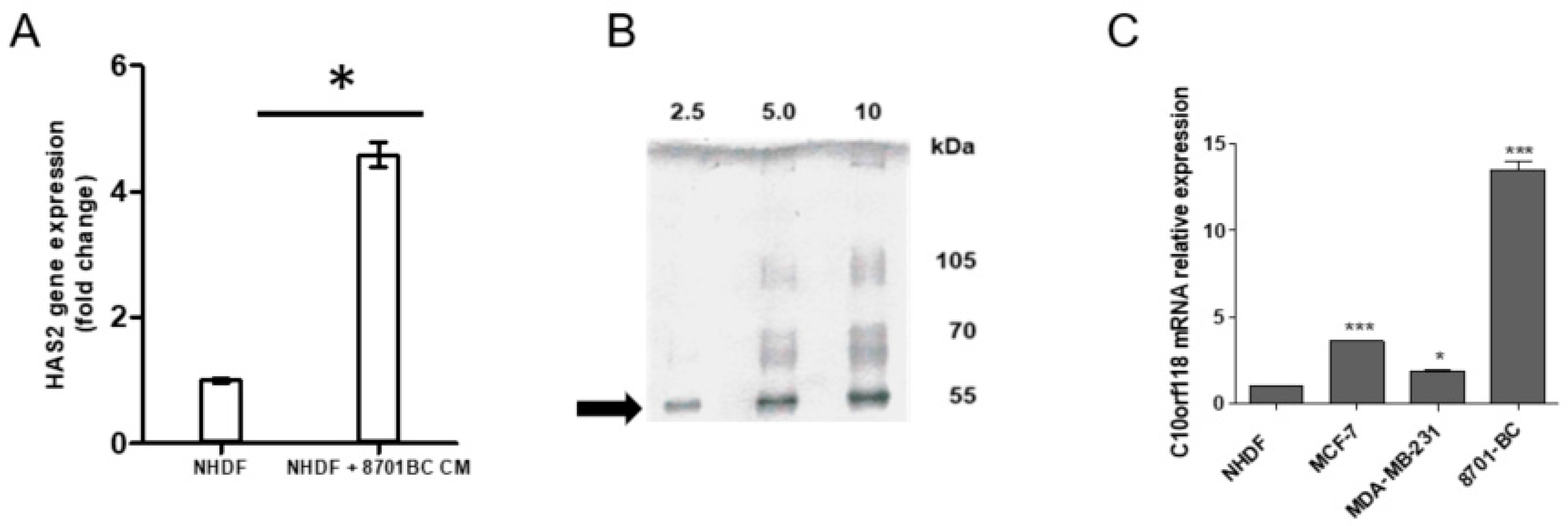 Cancers 13 01105 g001 Cancers 13 01105 g001