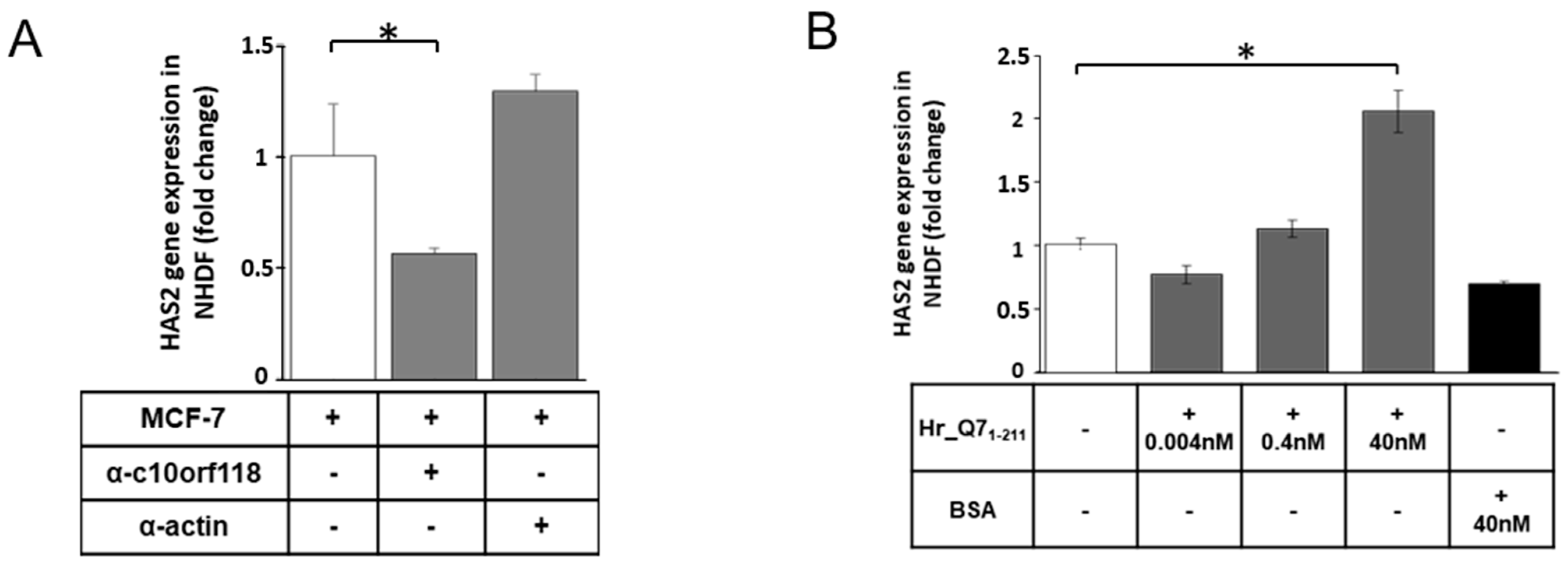 Cancers 13 01105 g007 Cancers 13 01105 g007
