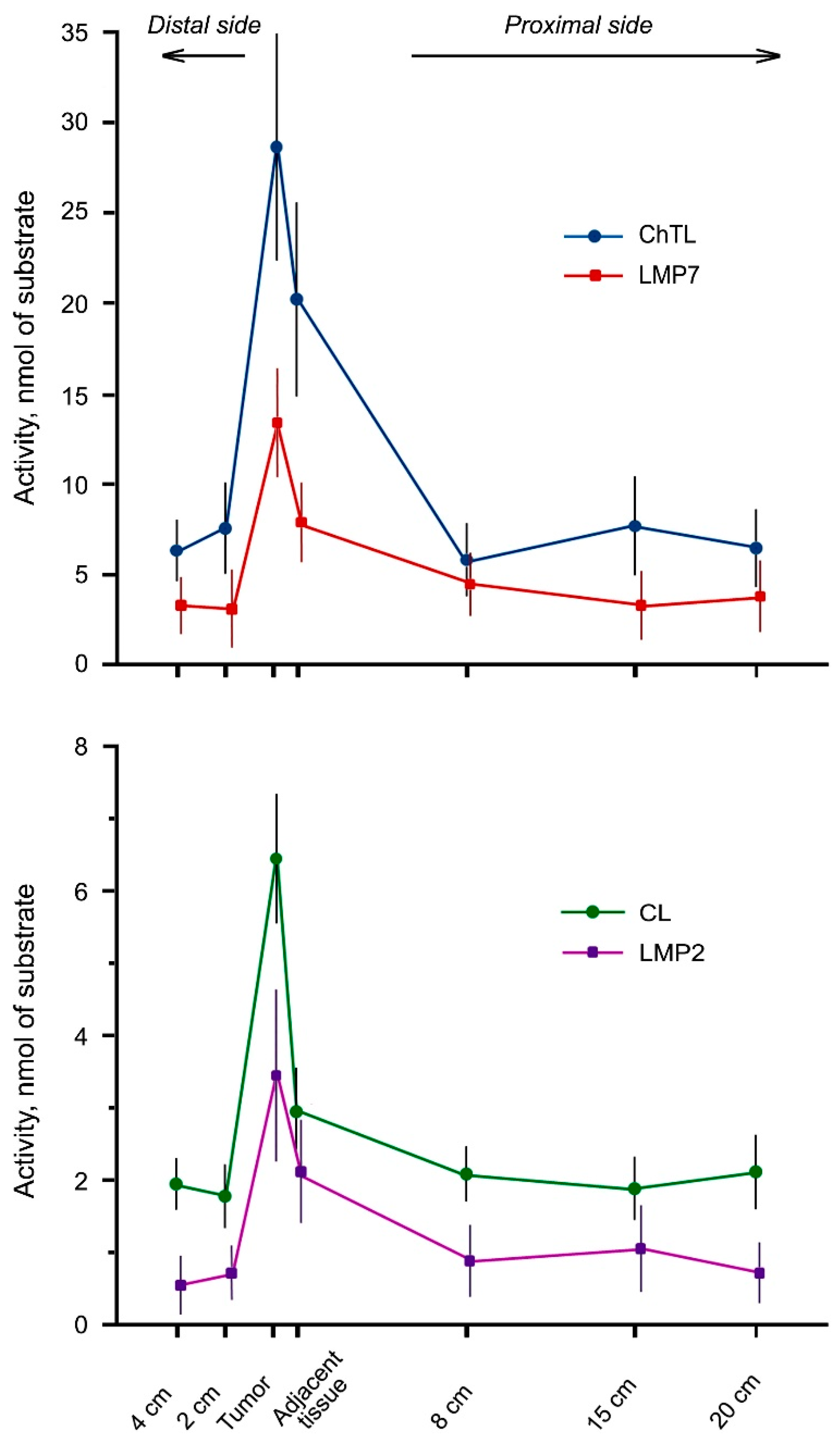Cancers 13 01108 g001