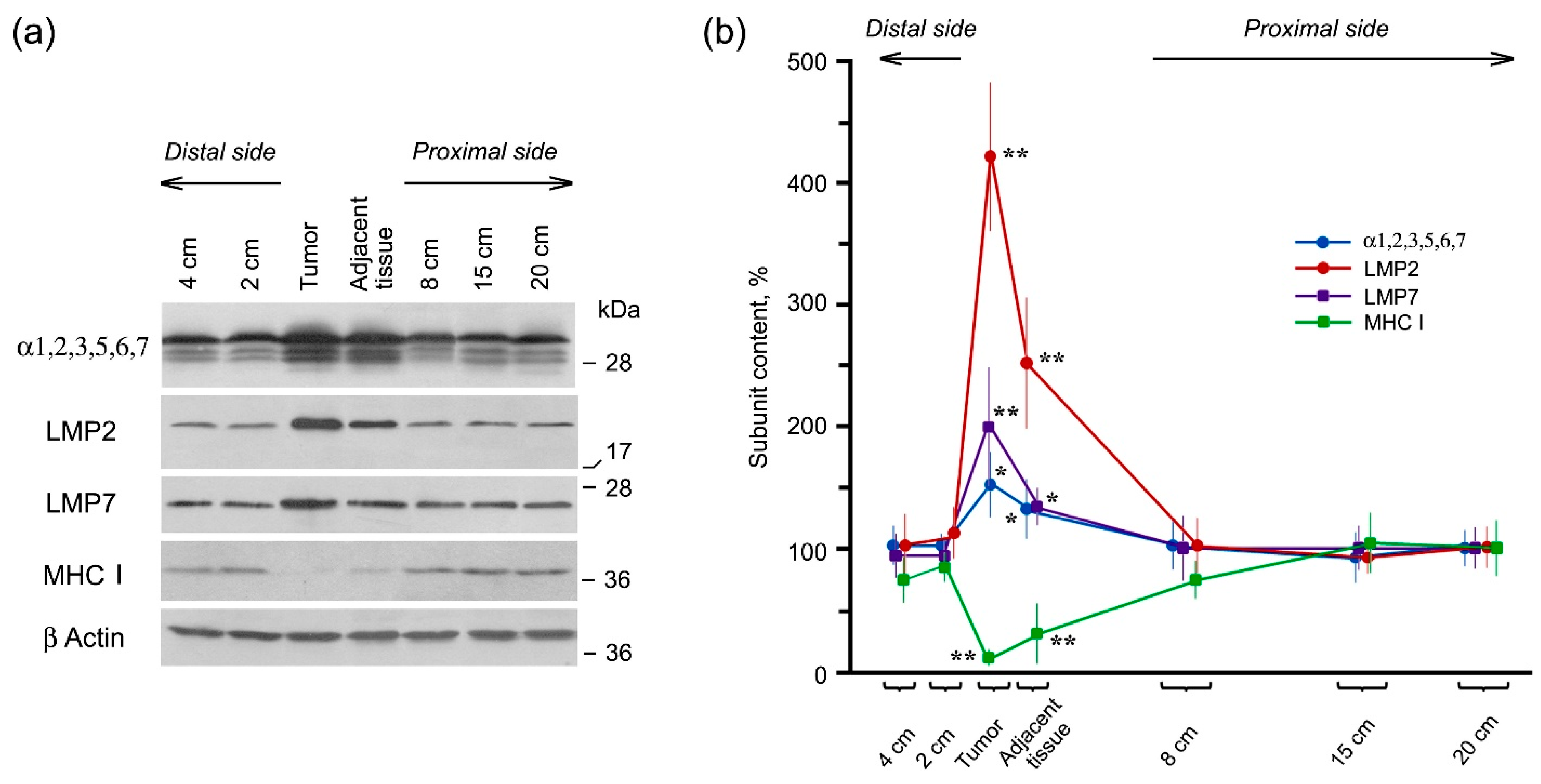 Cancers 13 01108 g002
