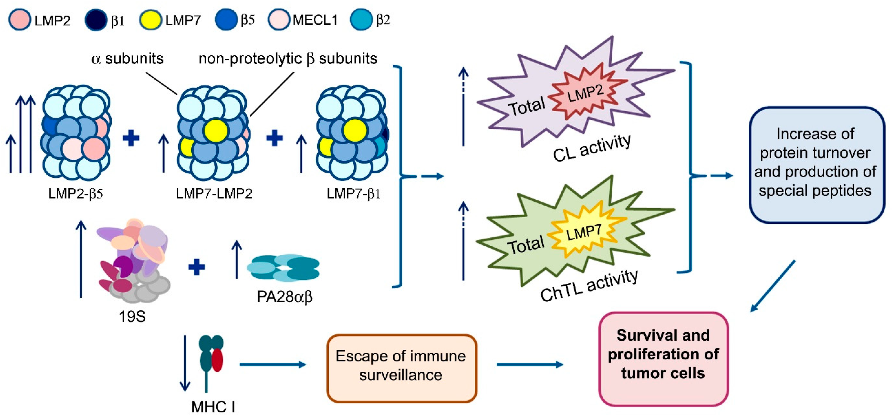 Cancers 13 01108 g006