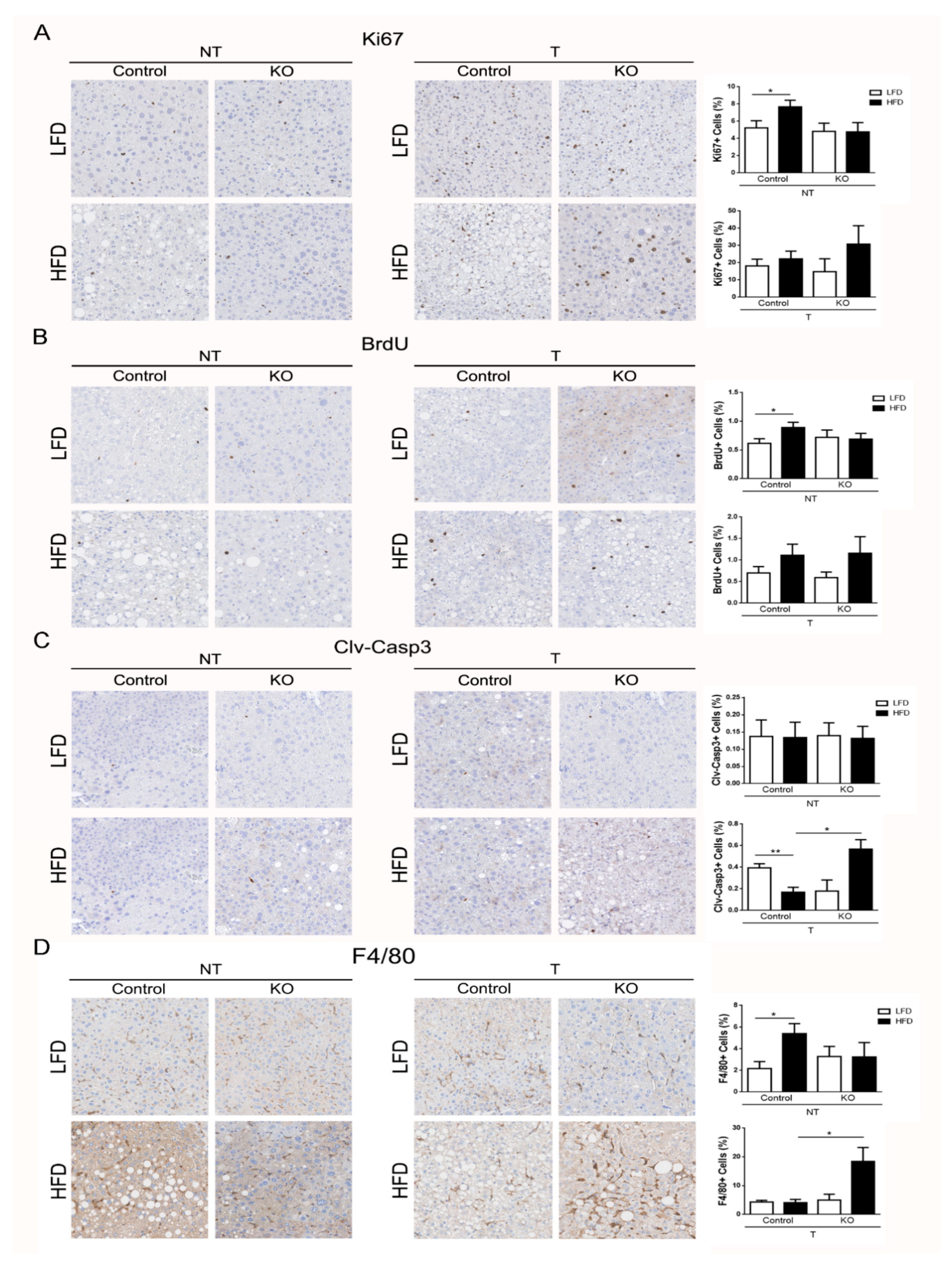 Cancers 13 01110 g003
