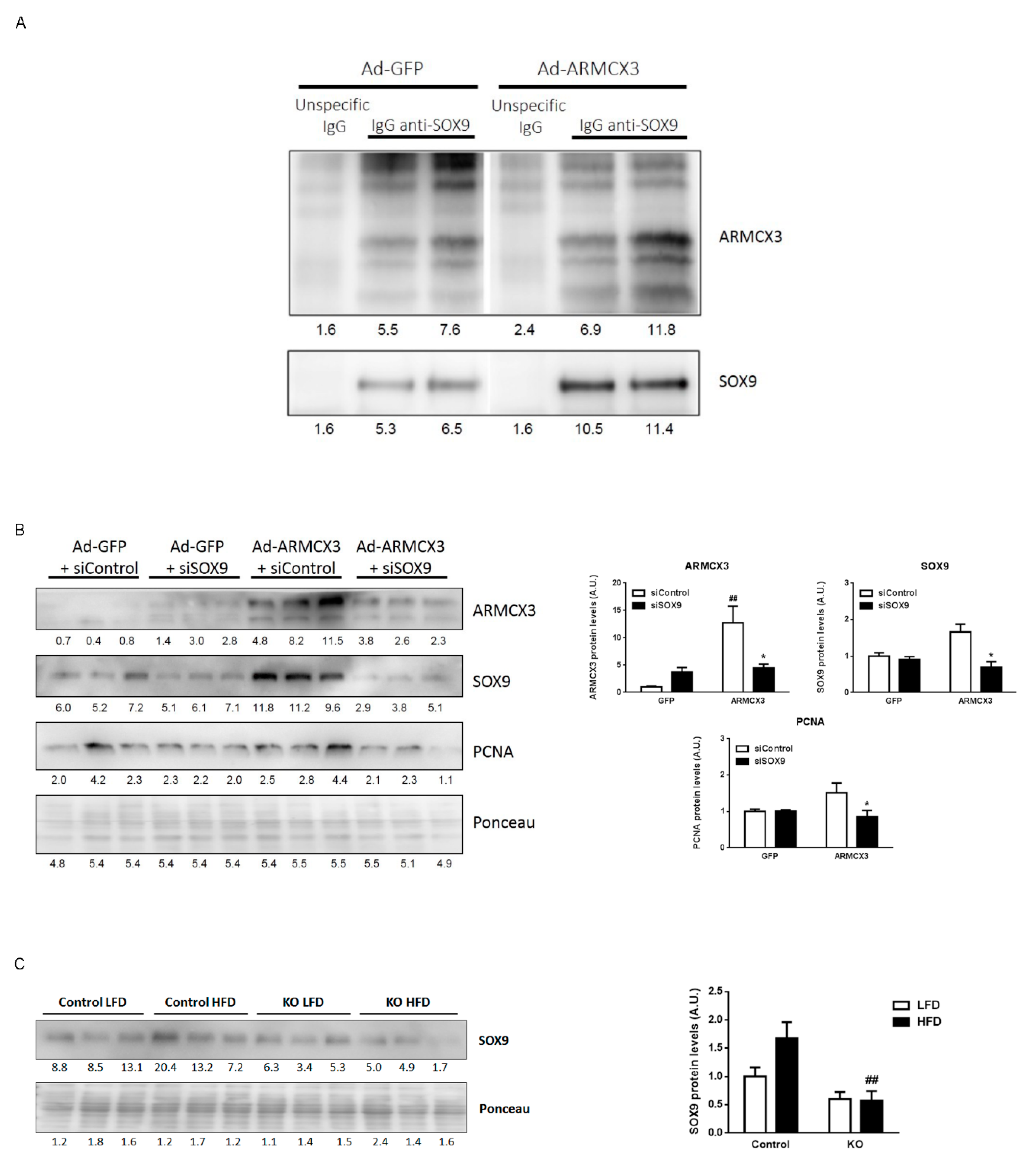 Cancers 13 01110 g007