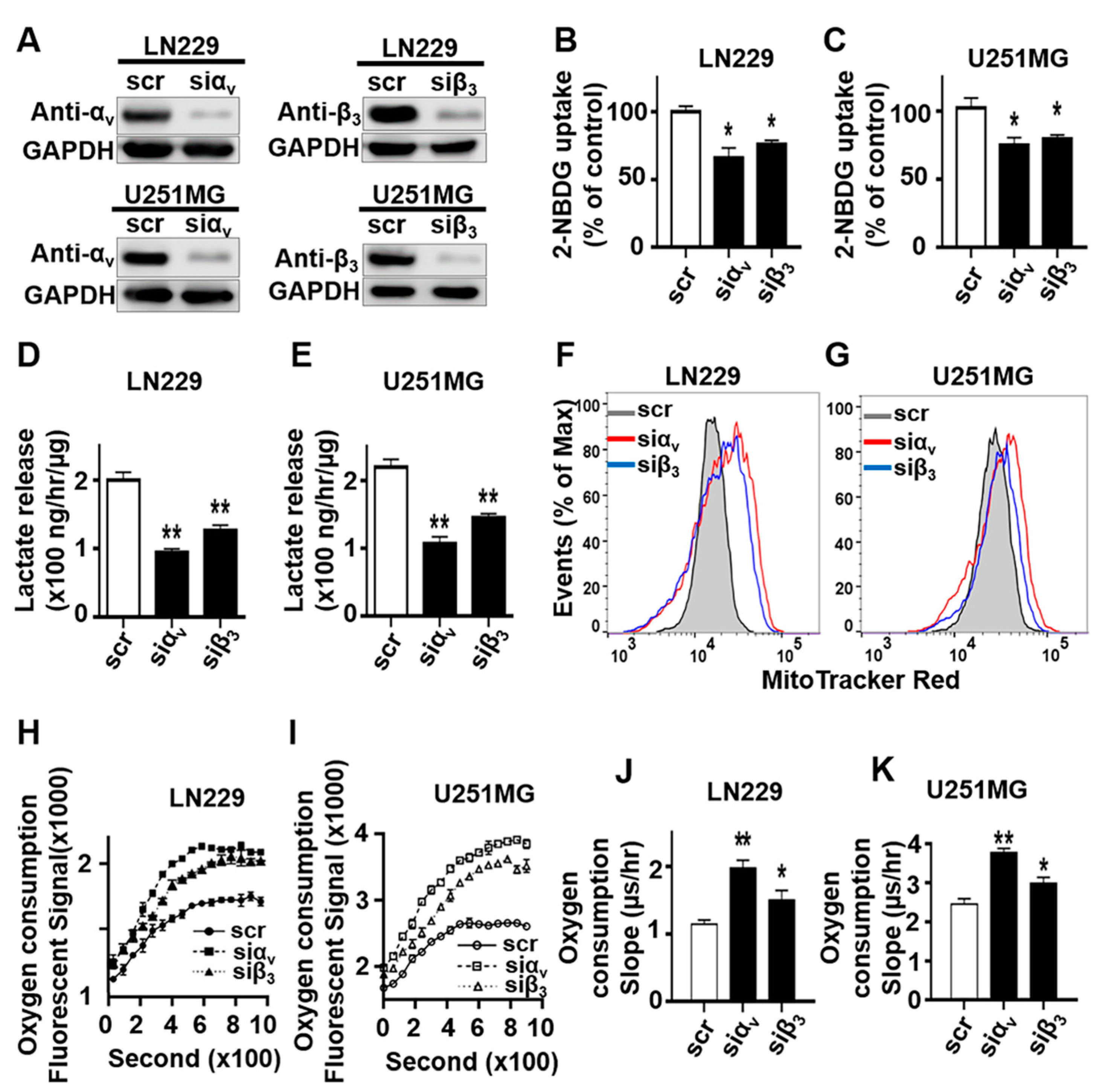 Cancers 13 01111 g001 Cancers 13 01111 g001