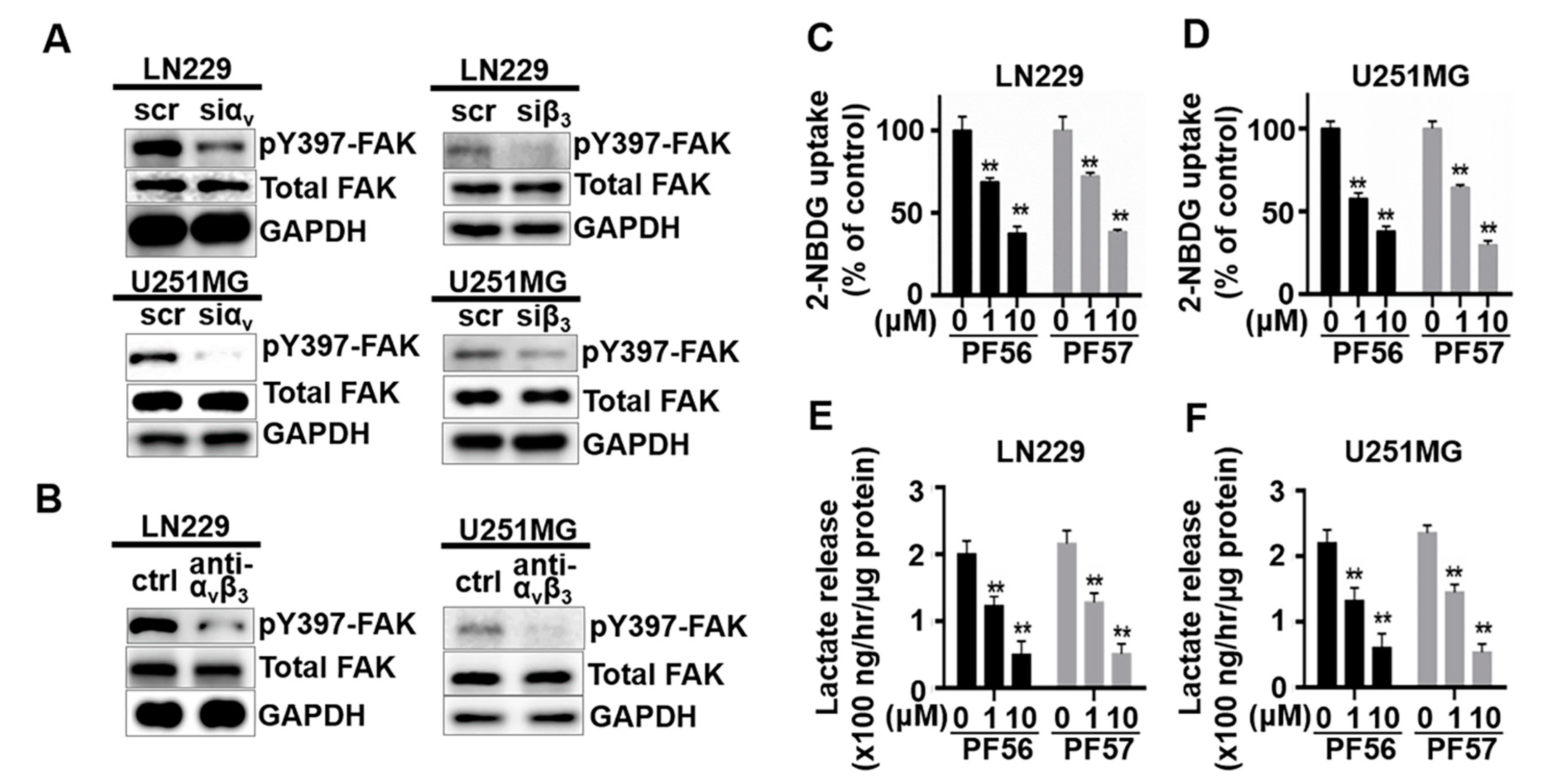 Cancers 13 01111 g003 Cancers 13 01111 g003