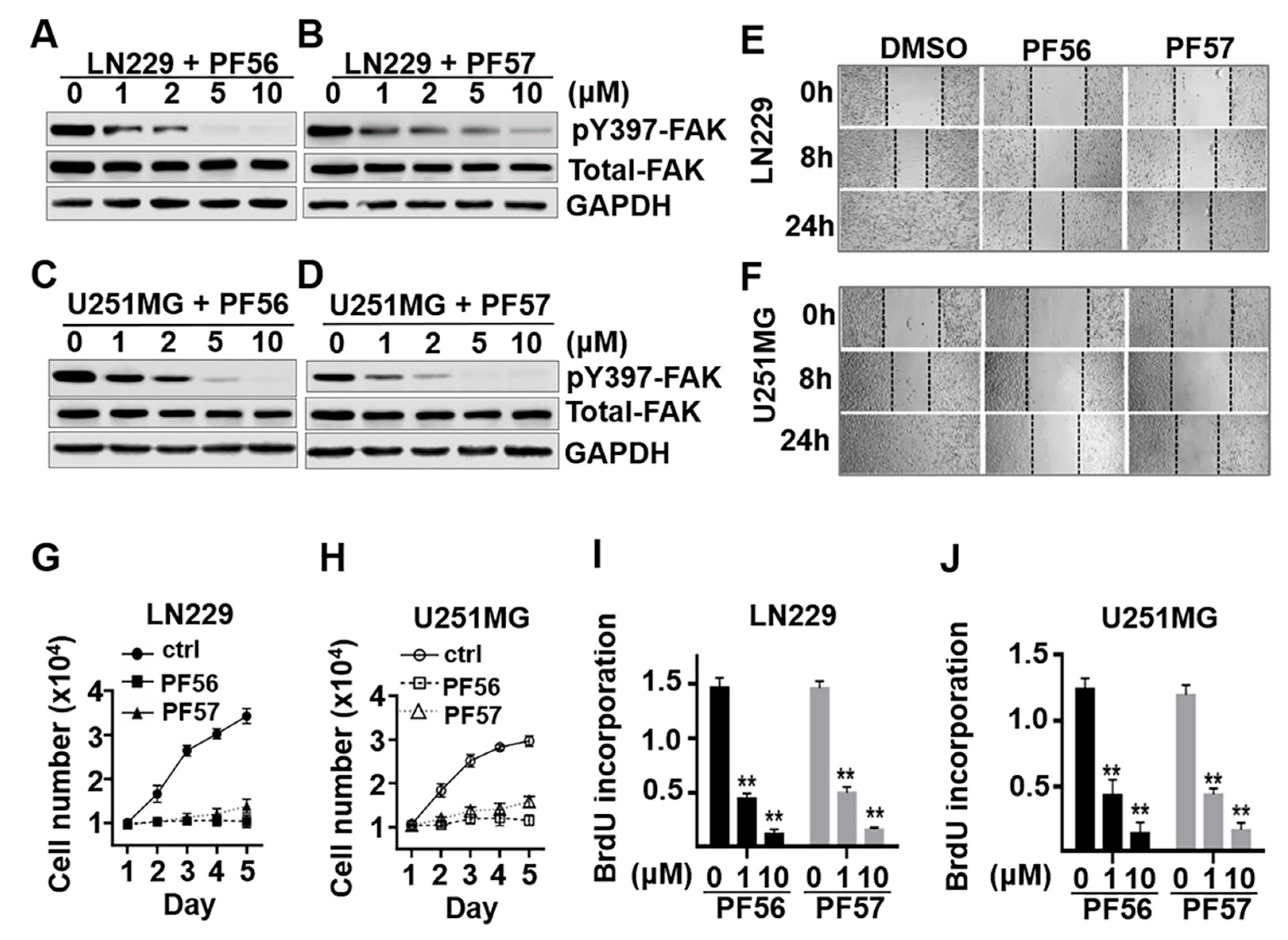 Cancers 13 01111 g005 Cancers 13 01111 g005