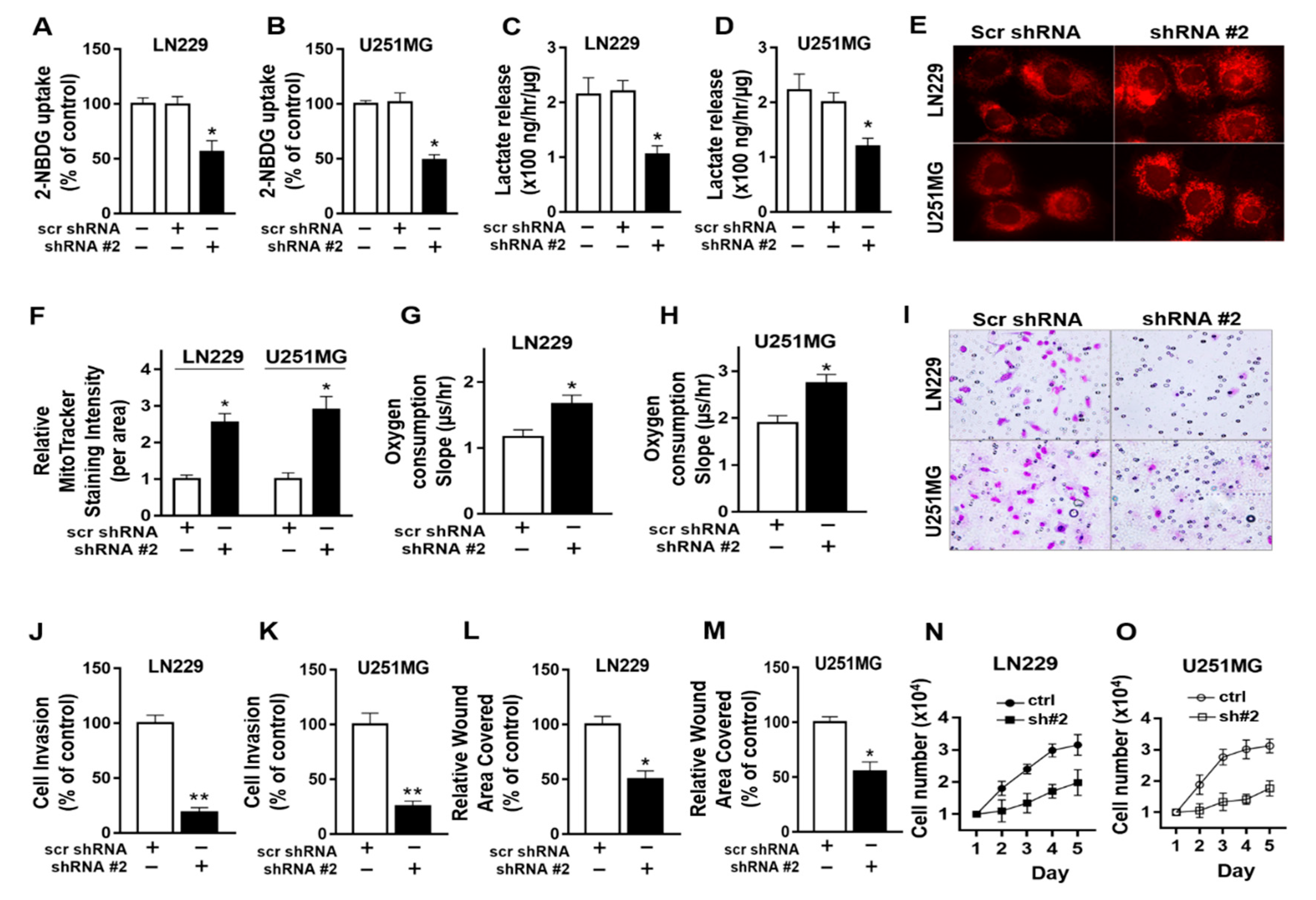 Cancers 13 01111 g006 Cancers 13 01111 g006