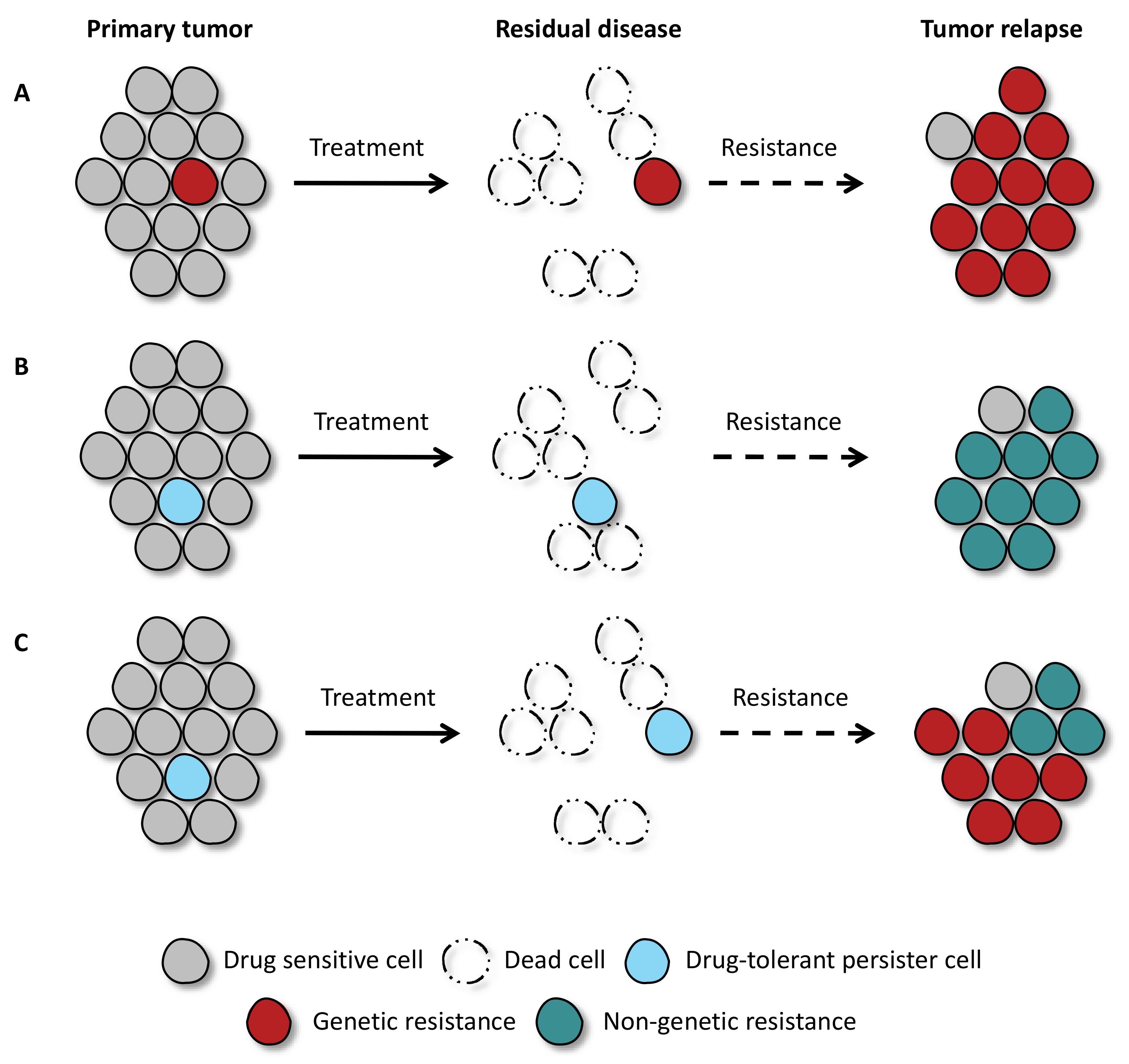 Drug tolerance