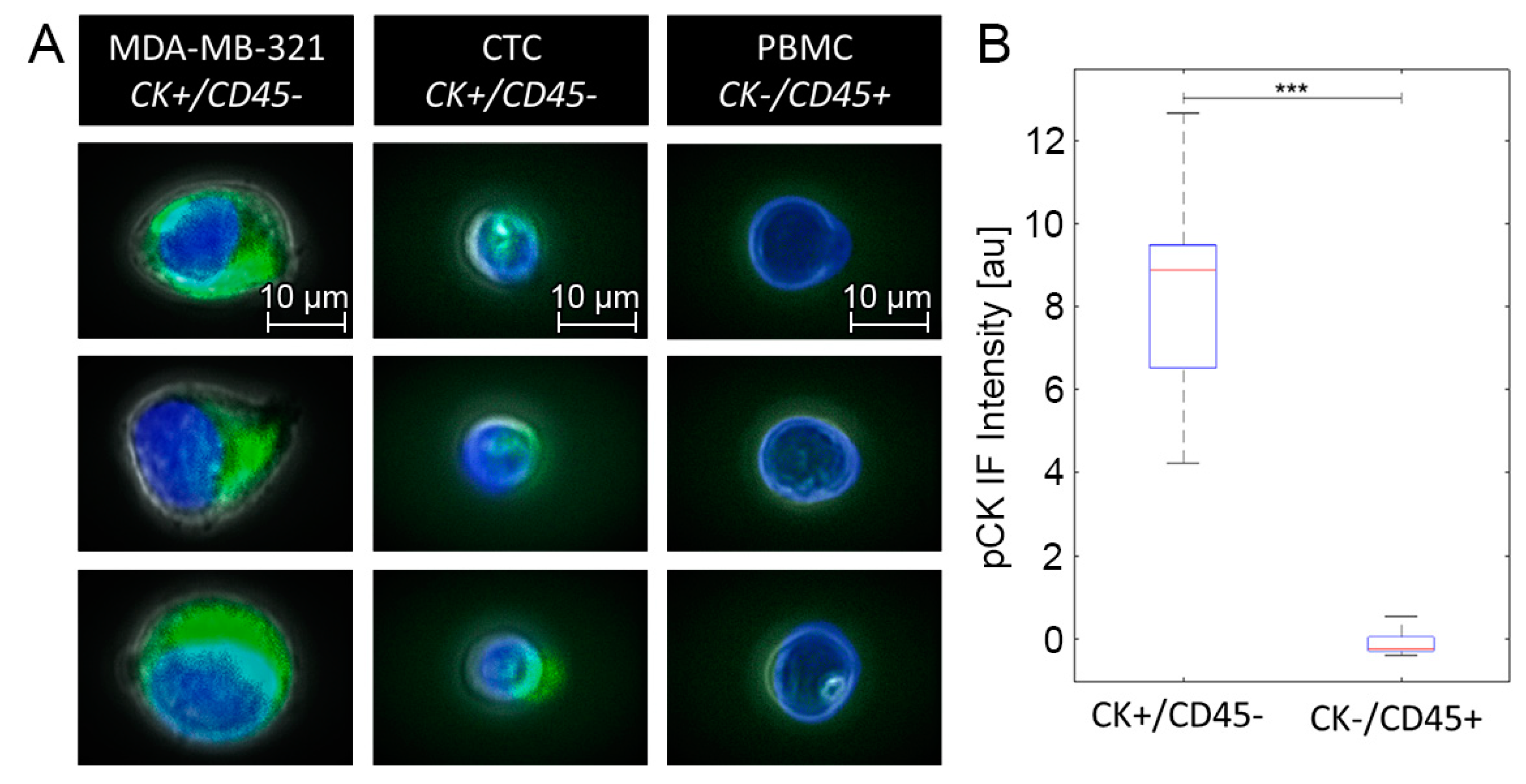 Cancers 13 01119 g0a3 Cancers 13 01119 g0a3
