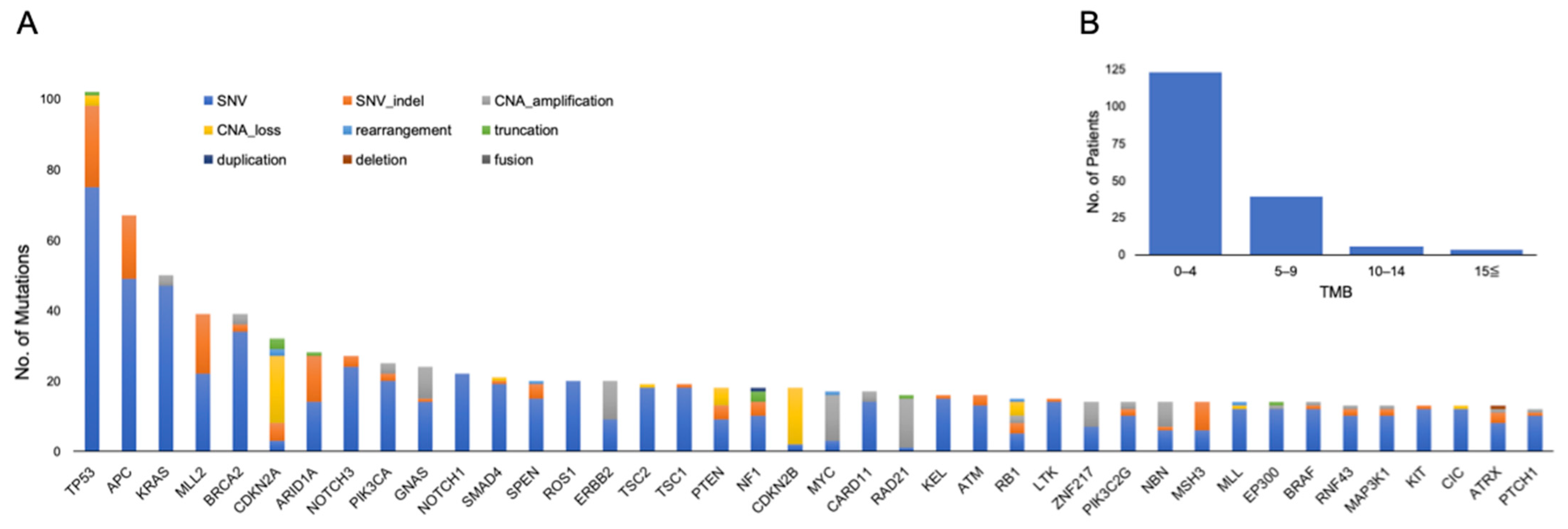 Cancers 13 01121 g001 Cancers 13 01121 g001