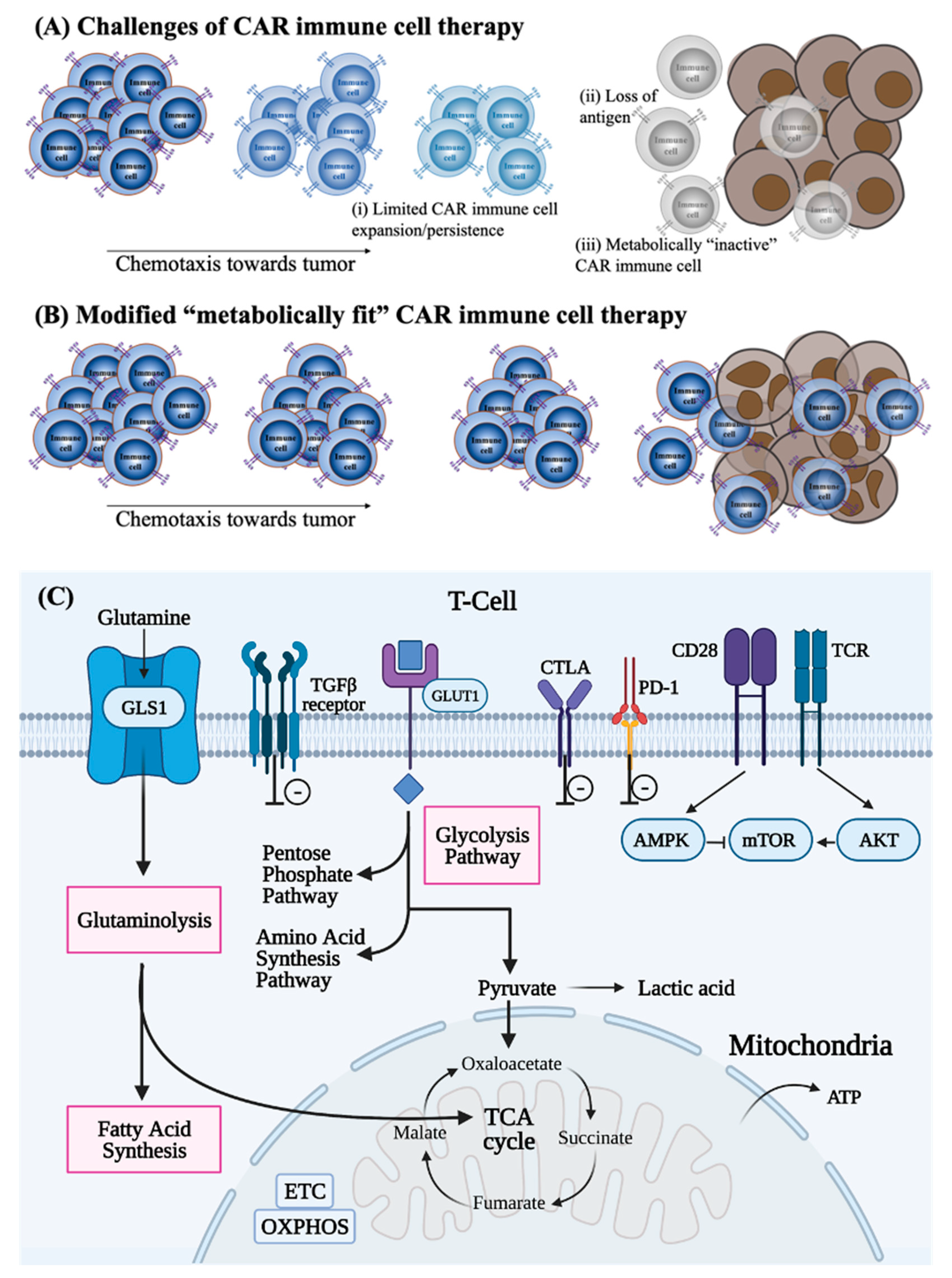 Cancers 13 01123 g002 Cancers 13 01123 g002