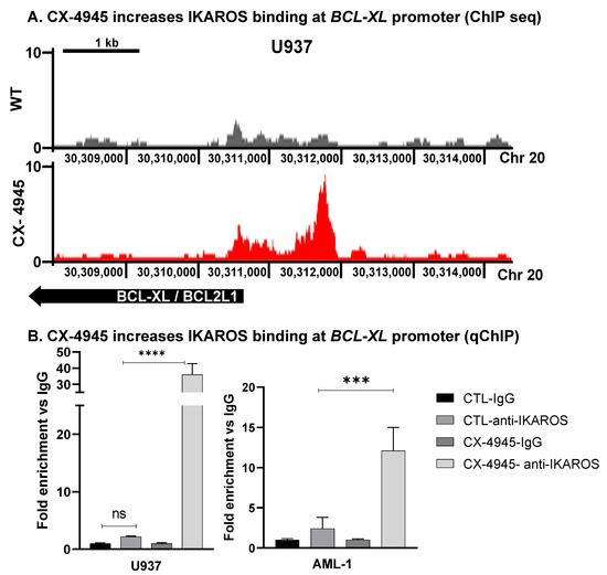 Mechanistic Basis for In Vivo Therapeutic Efficacy of CK2