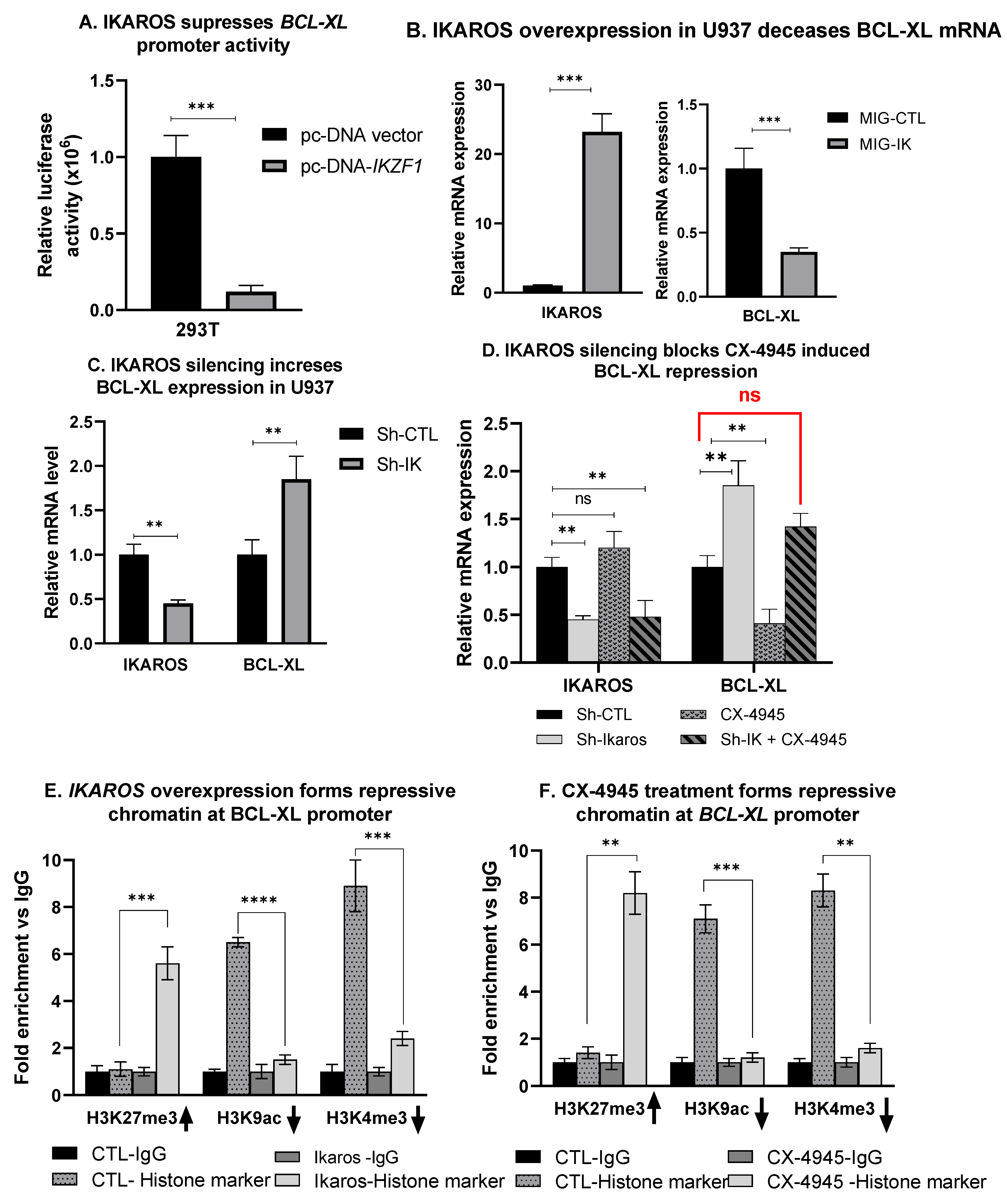 Cancers 13 01127 g005 Cancers 13 01127 g005