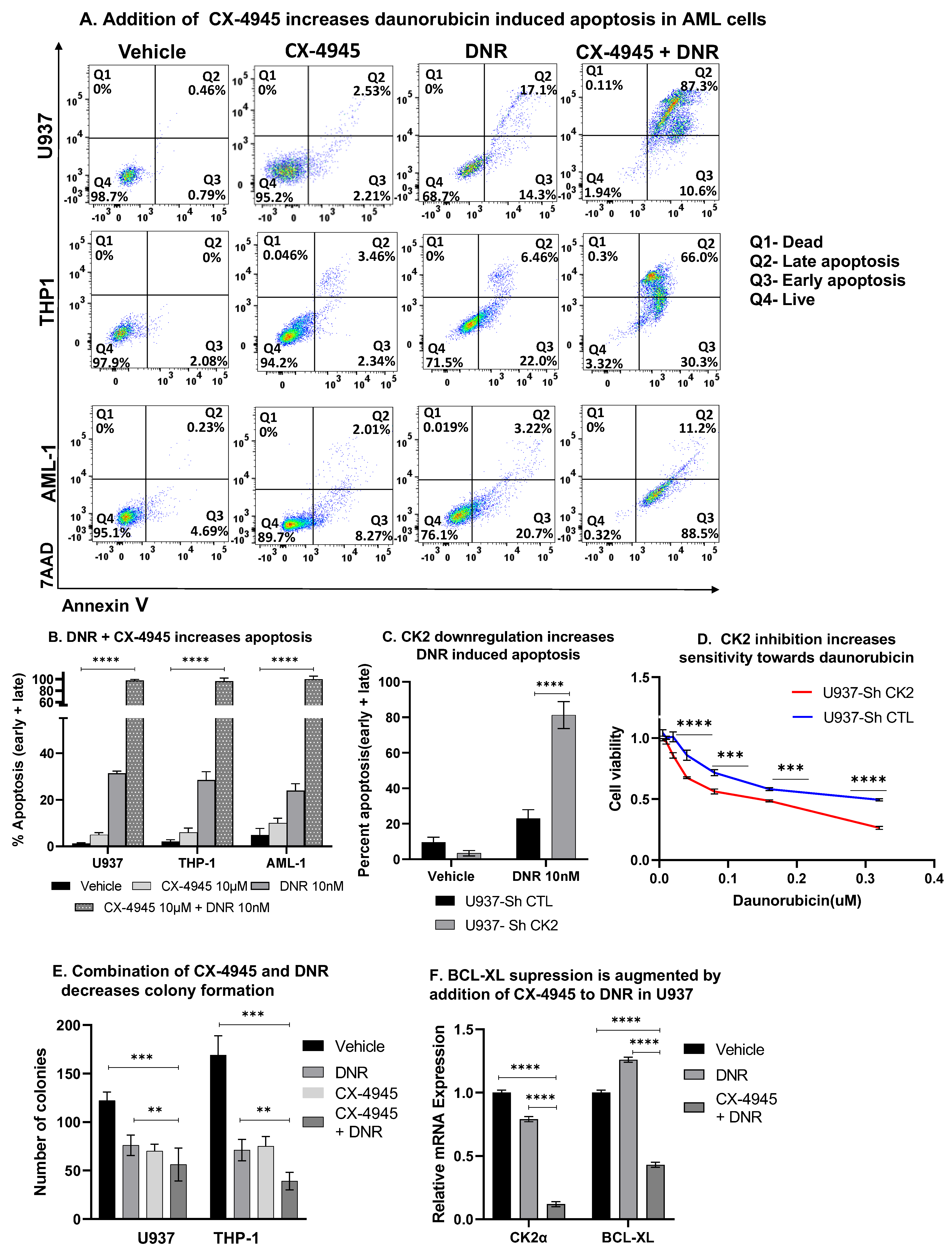 Cancers 13 01127 g007 Cancers 13 01127 g007