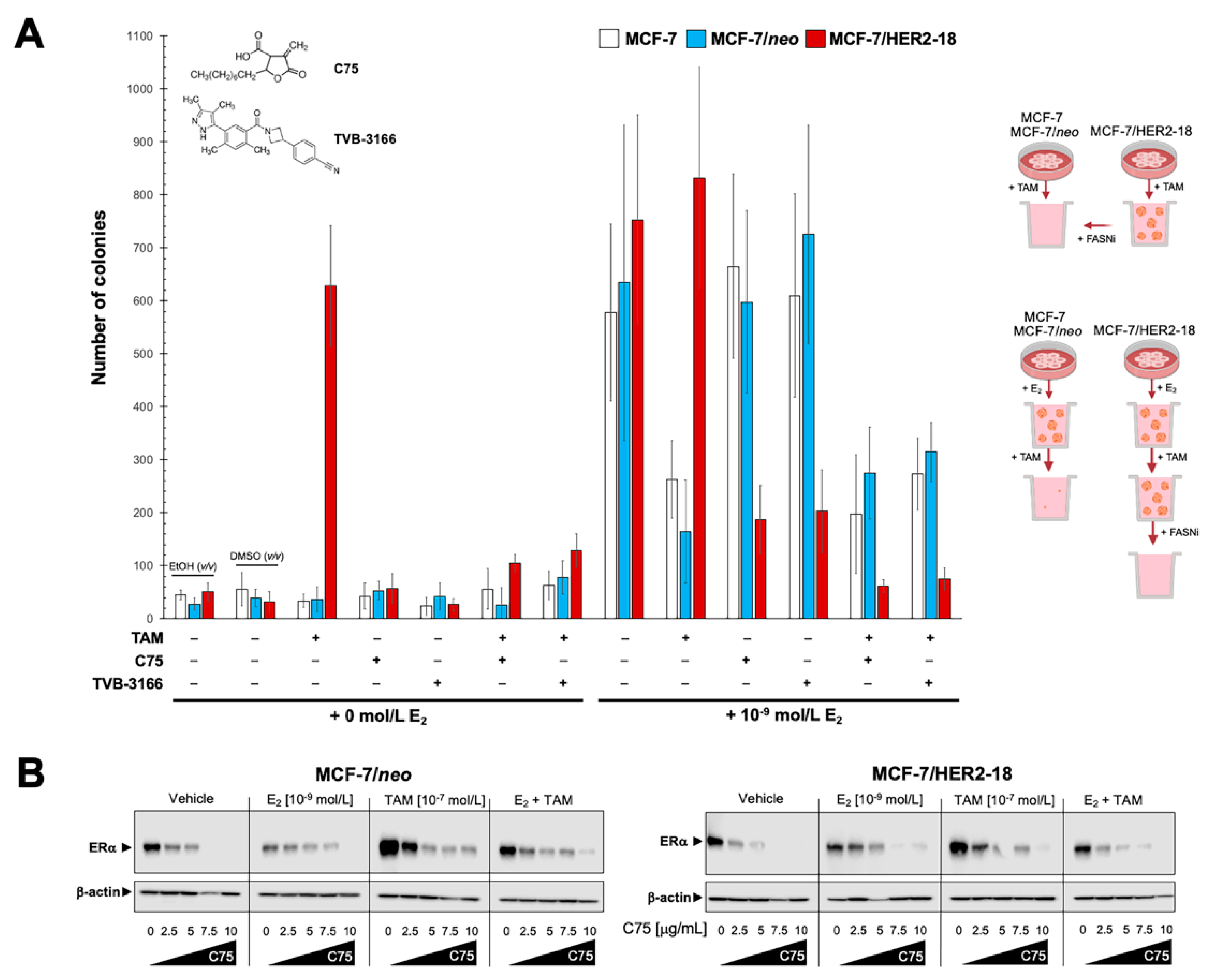 Cancers 13 01132 g003 Cancers 13 01132 g003