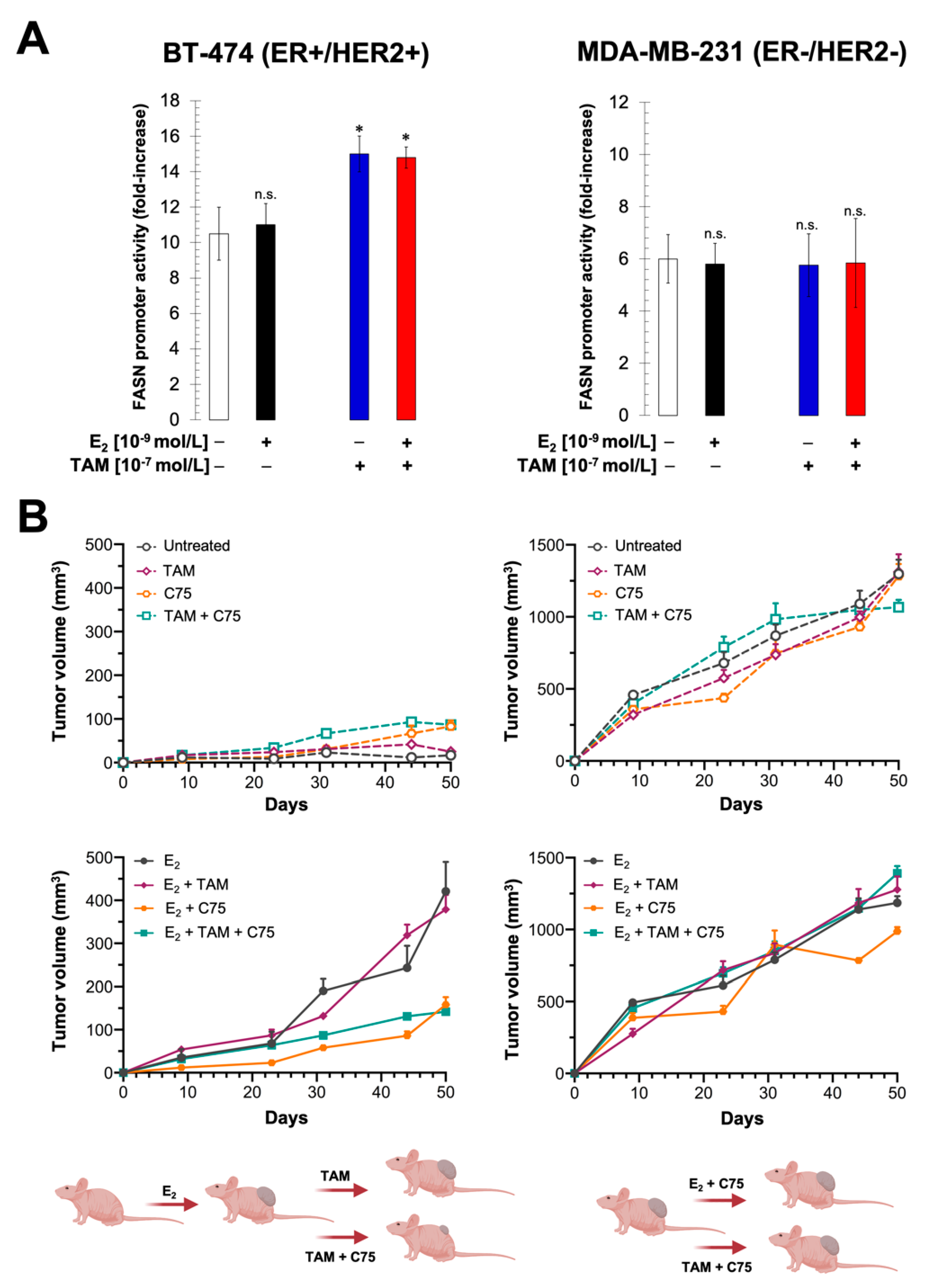 Cancers 13 01132 g006 Cancers 13 01132 g006