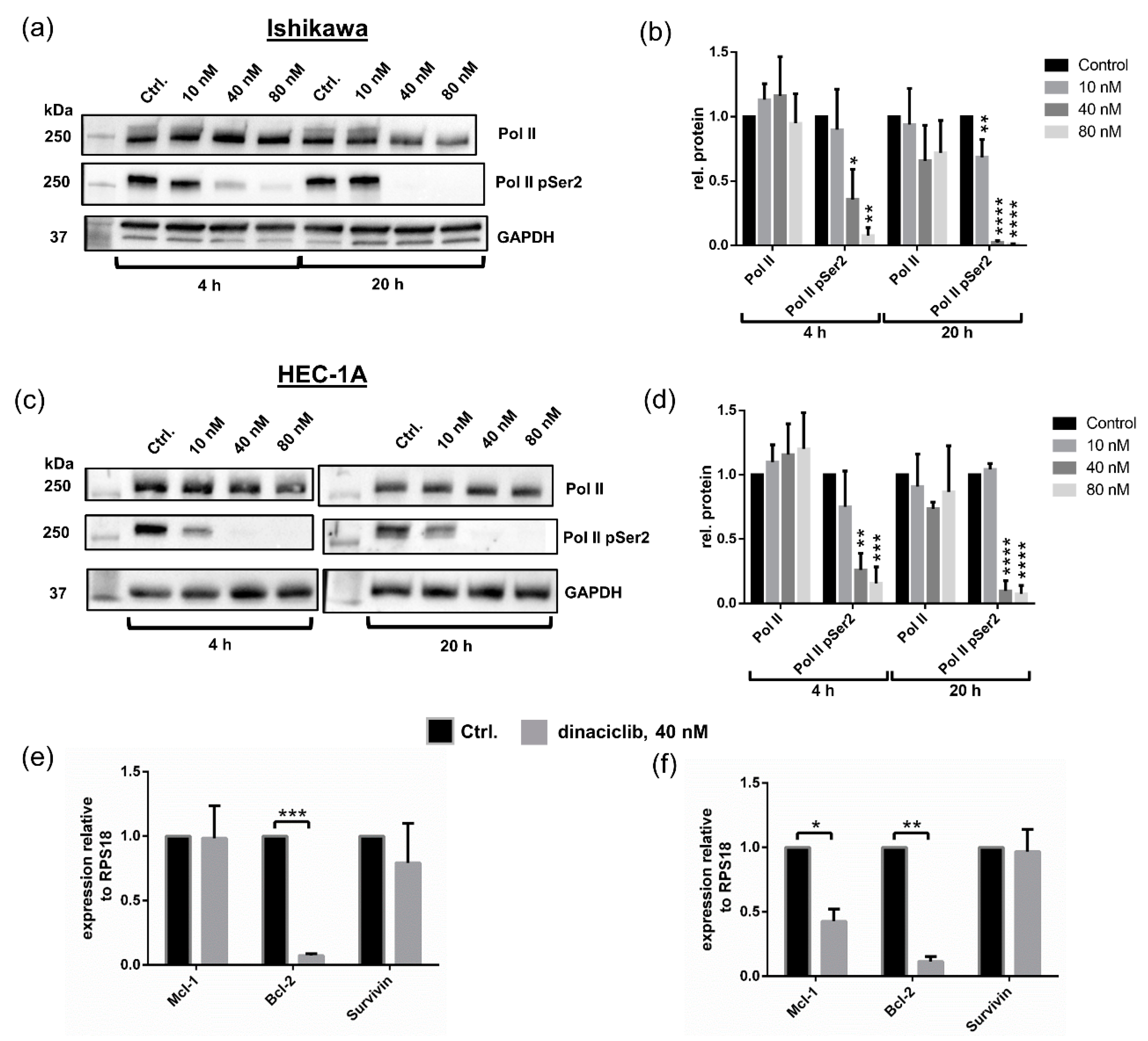 Cancers 13 01135 g005 Cancers 13 01135 g005