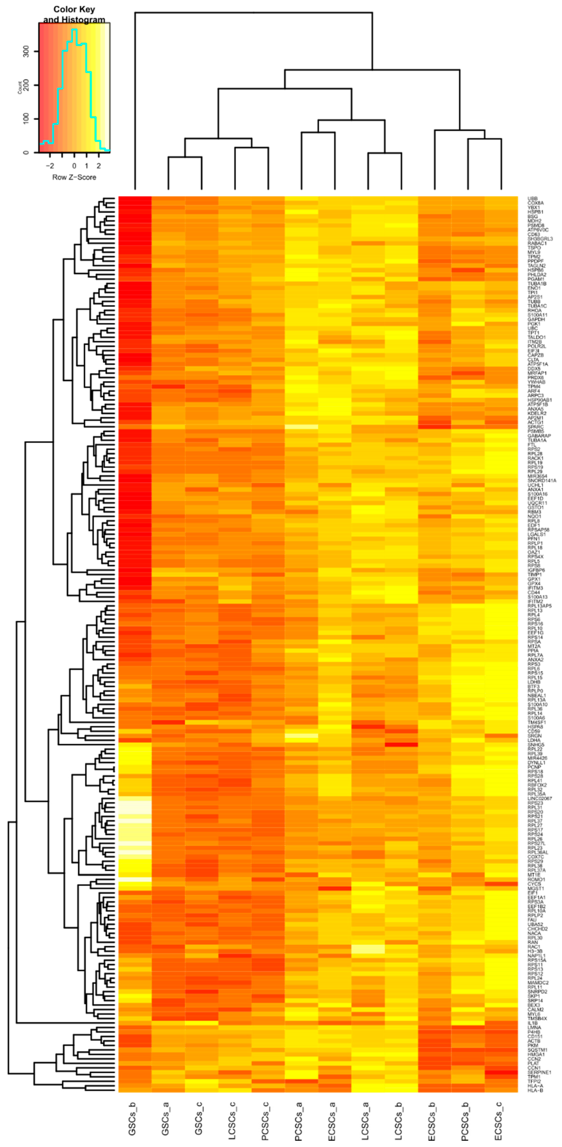 Cancers 13 01136 g005
