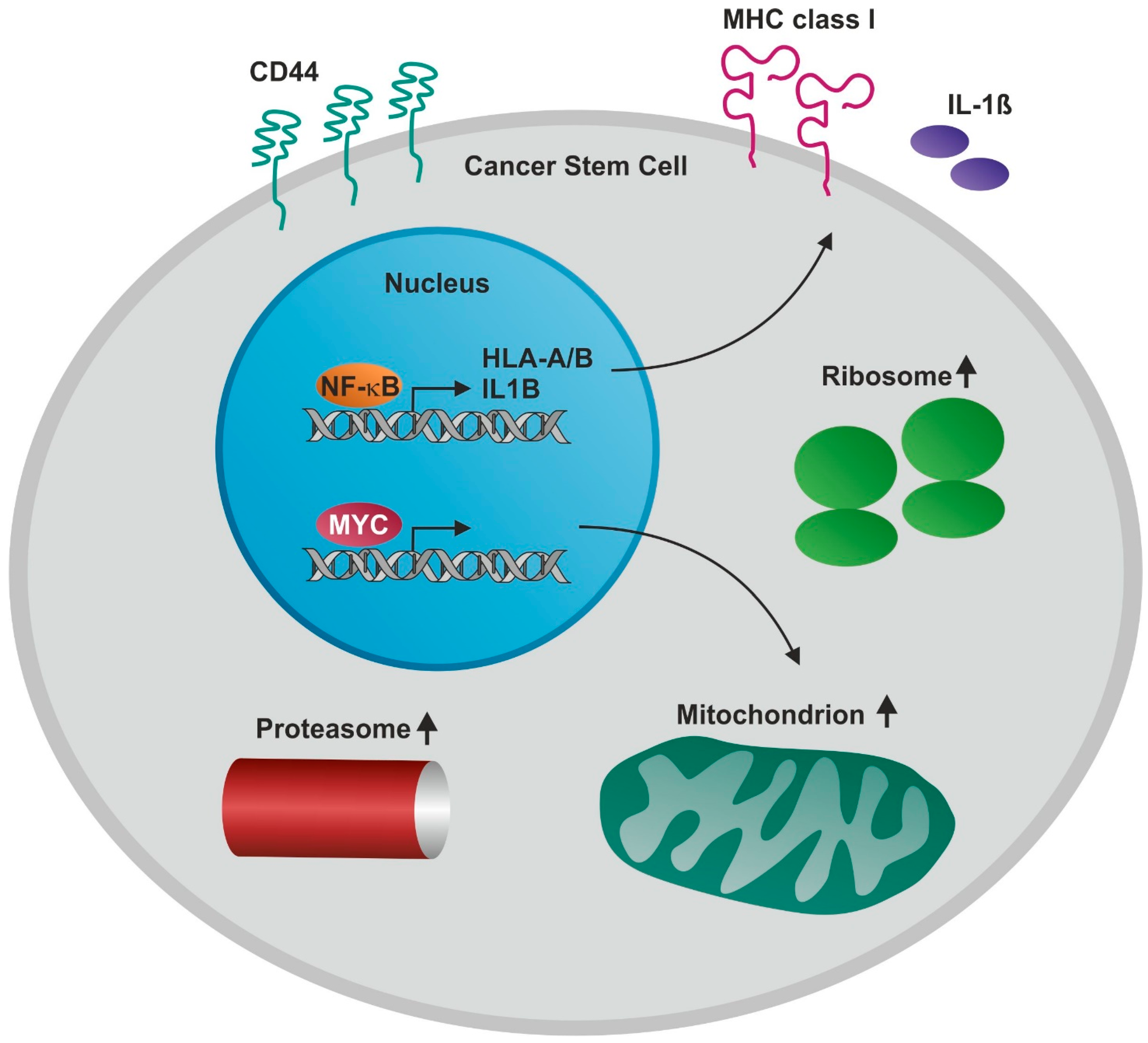 Cancers 13 01136 g009