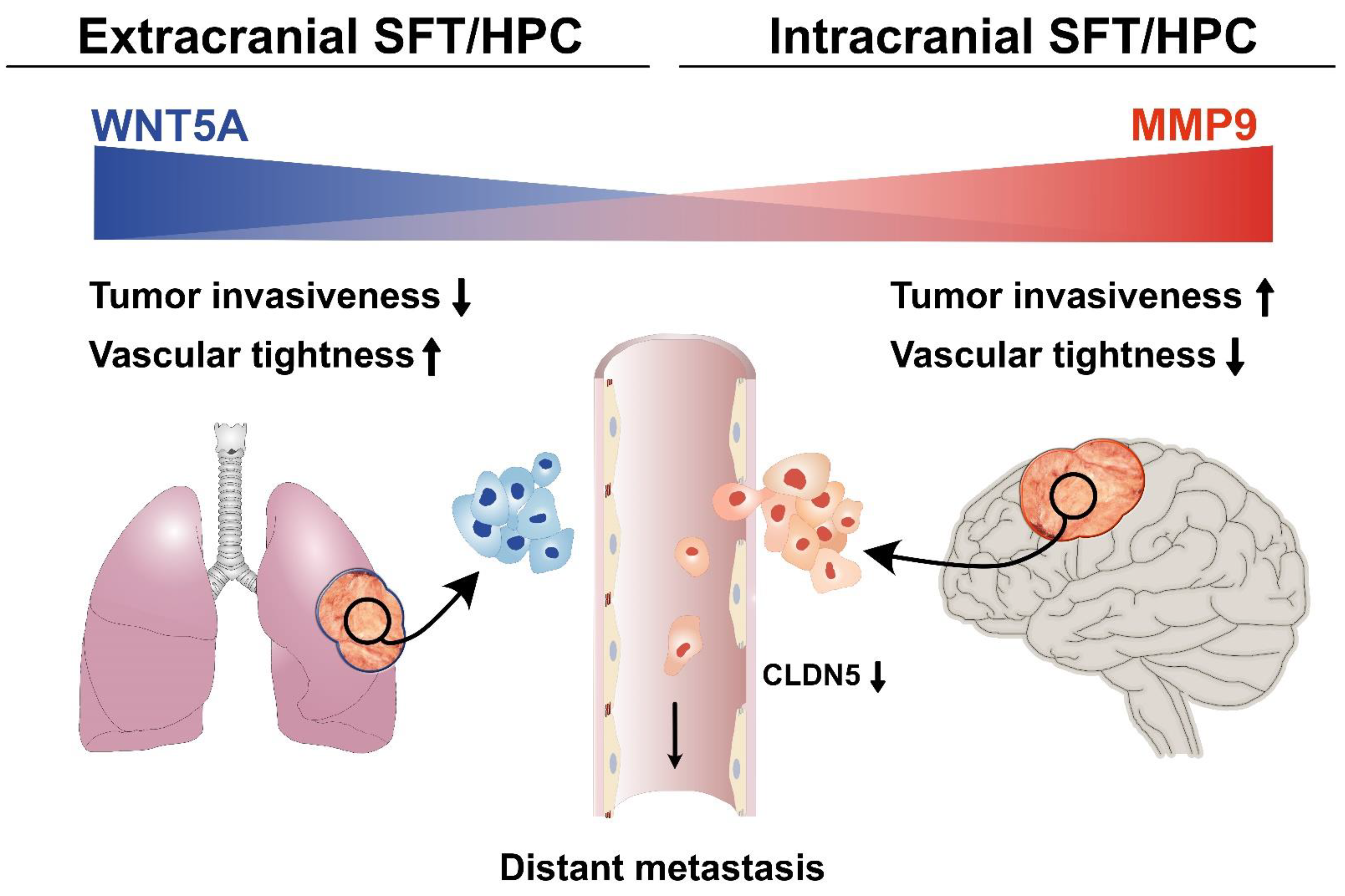 Cancers 13 01142 g006 Cancers 13 01142 g006