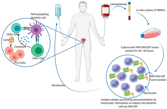 Cancers 13 01145 g003 550