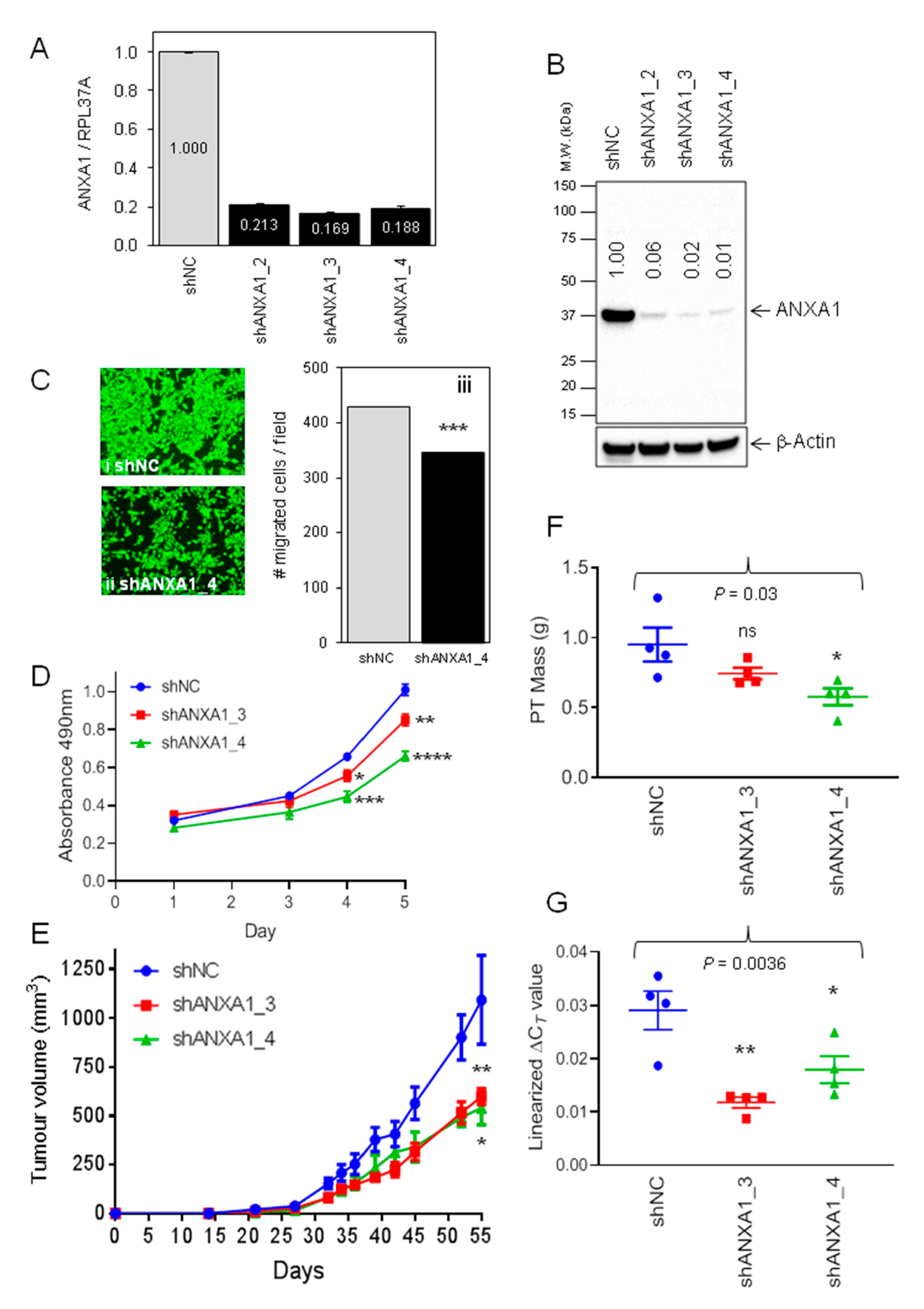 Cancers 13 01154 g002 Cancers 13 01154 g002