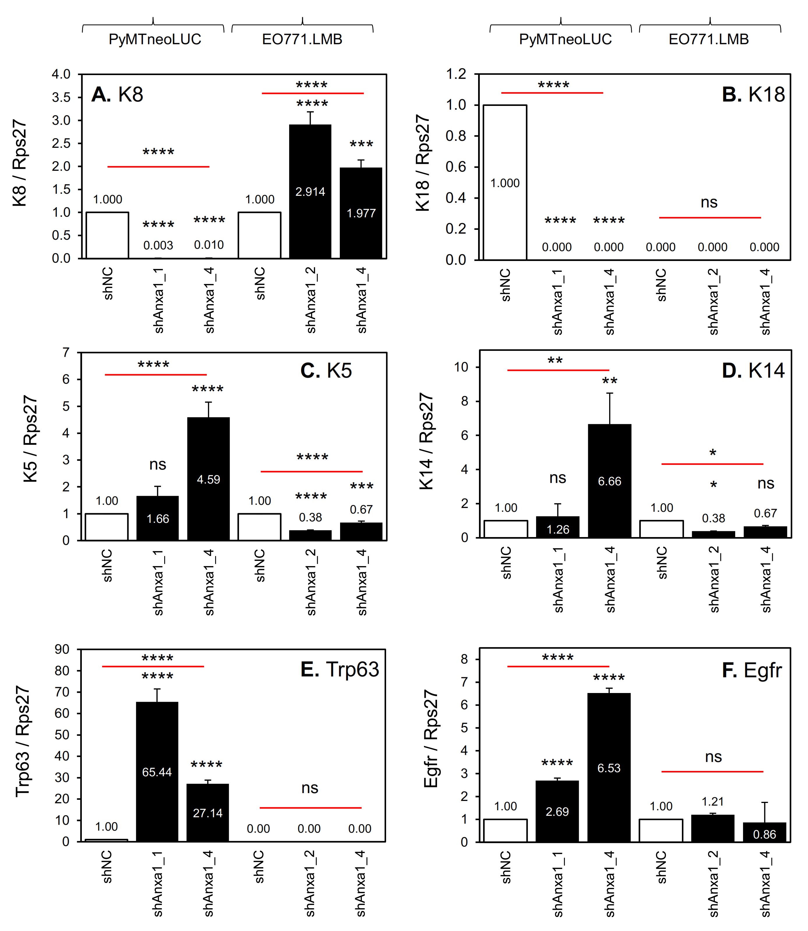 Cancers 13 01154 g006 Cancers 13 01154 g006