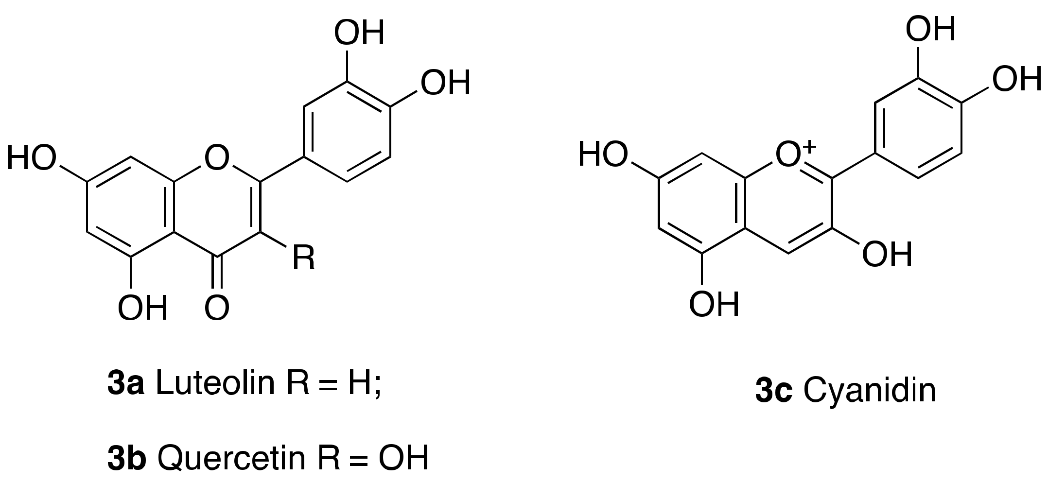 Cancers 13 01156 g003 Cancers 13 01156 g003