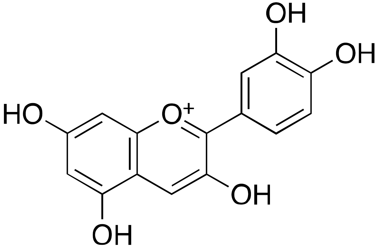 Cancers 13 01156 i001 Cancers 13 01156 i001