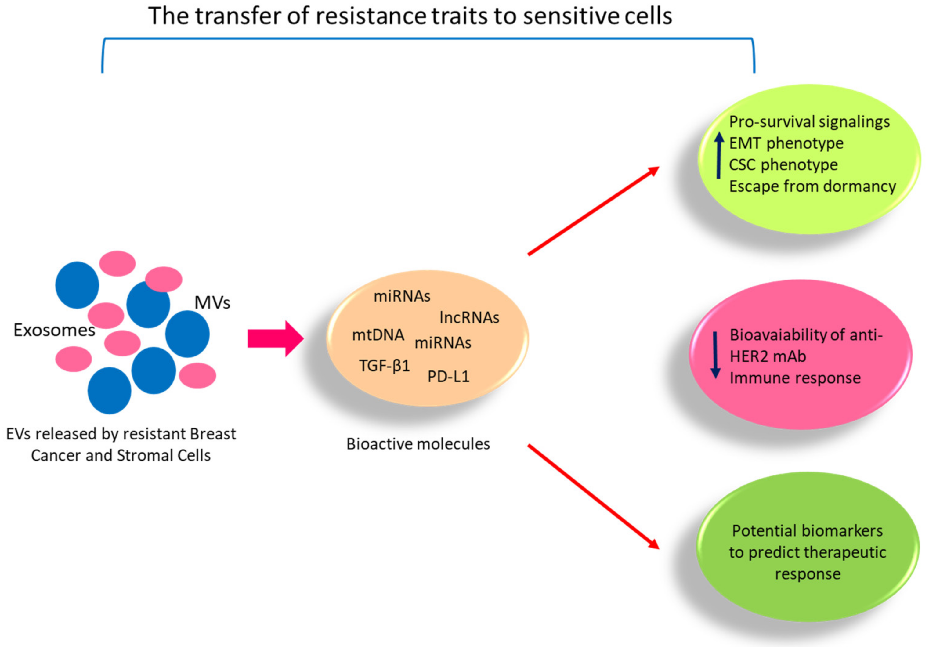 Cancers 13 01160 g002
