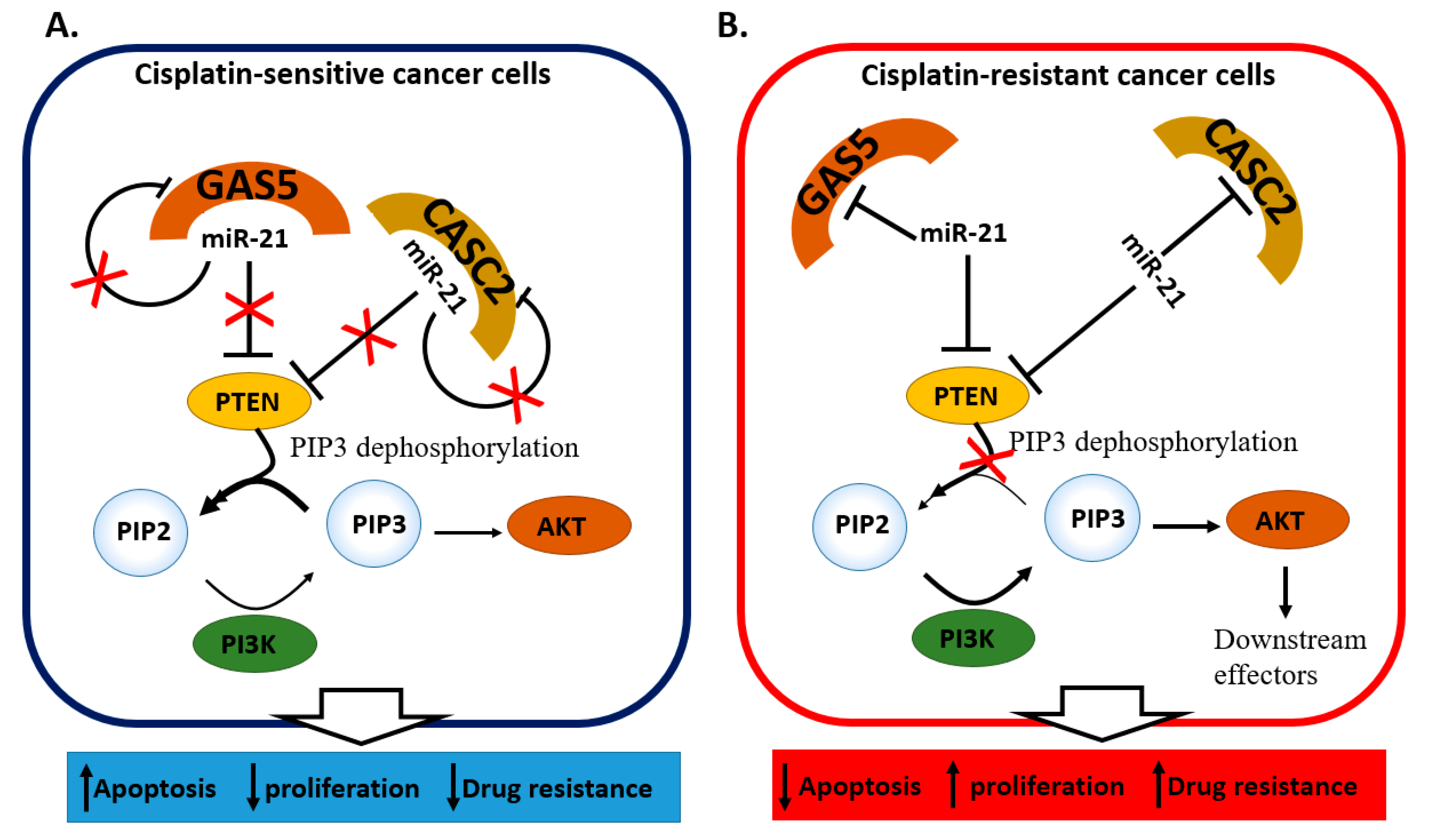 Cancers 13 01168 g004a Cancers 13 01168 g004a