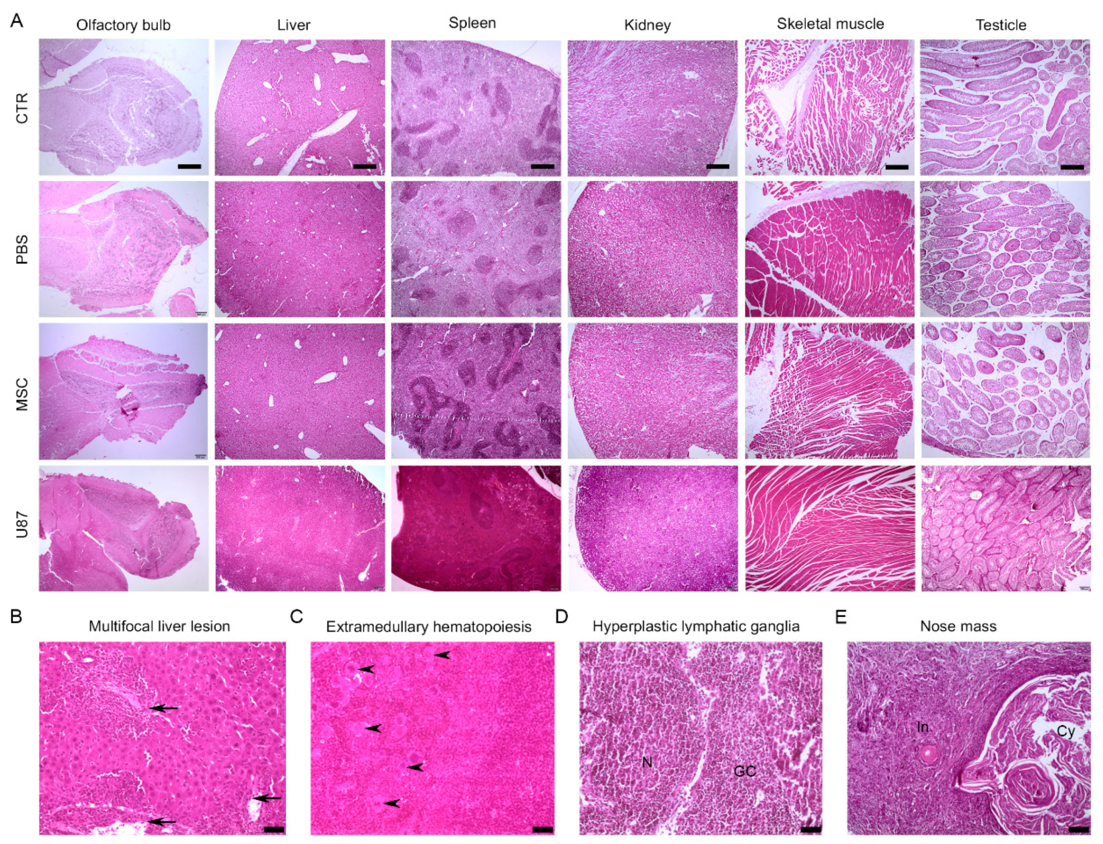 Cancers 13 01169 g005