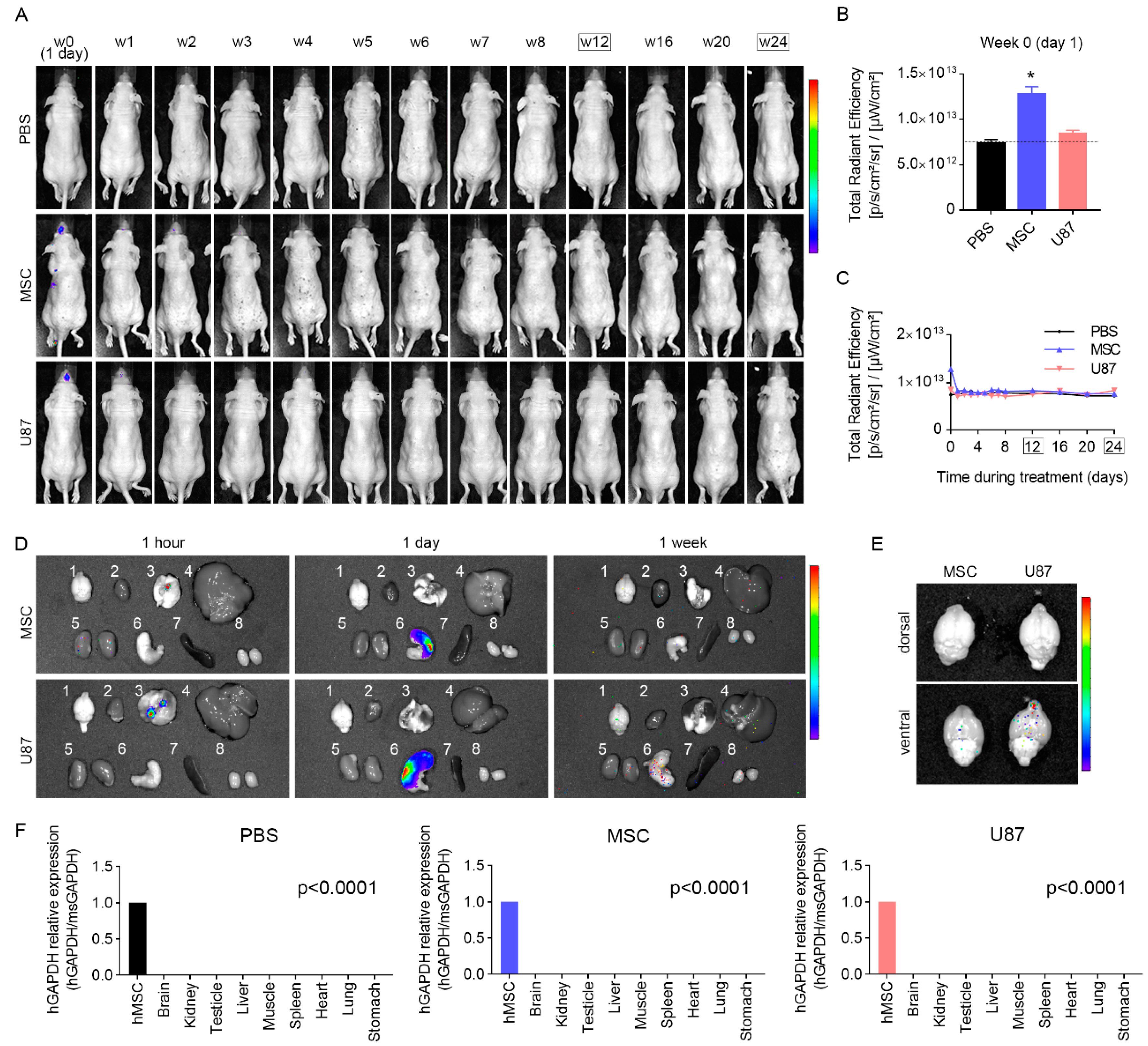 Cancers 13 01169 g006