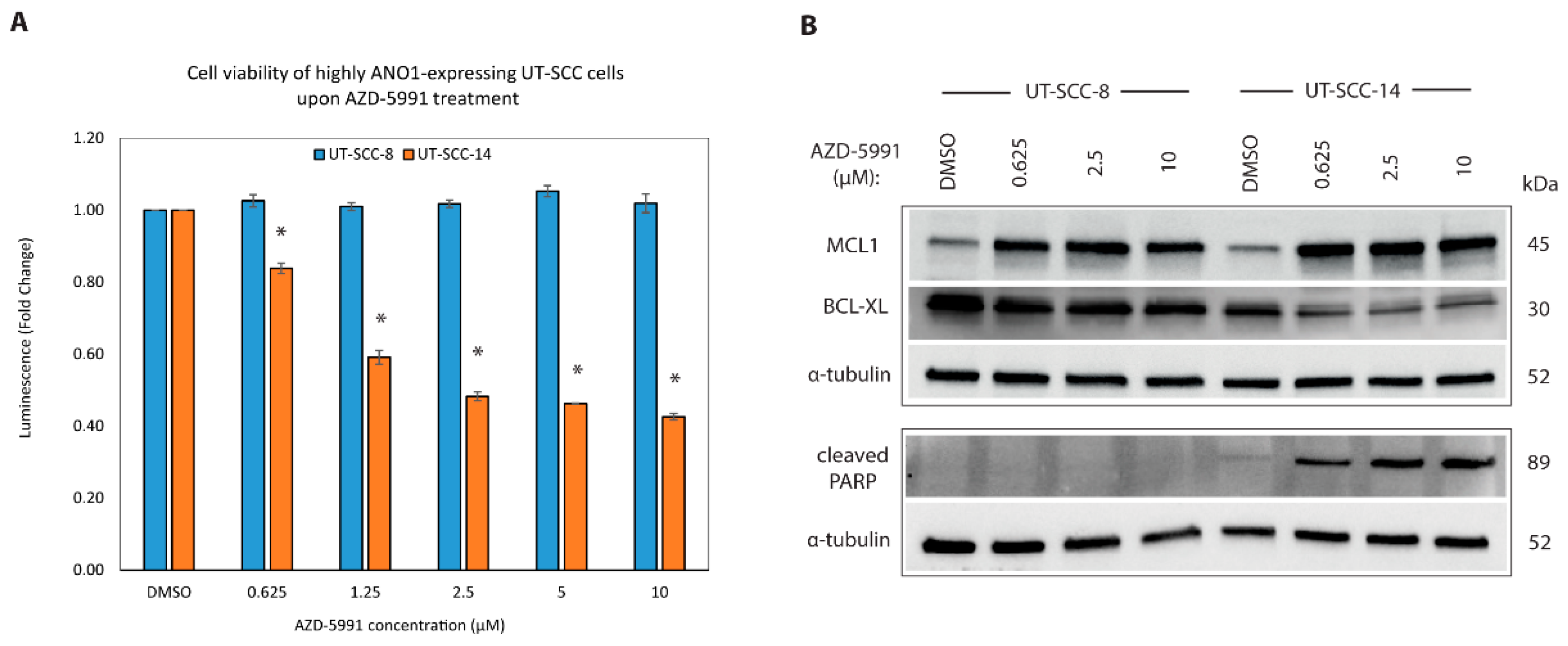 Cancers 13 01170 g006 Cancers 13 01170 g006