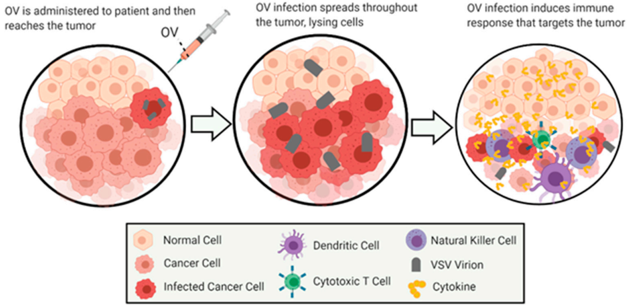 Cancers 13 01171 g001