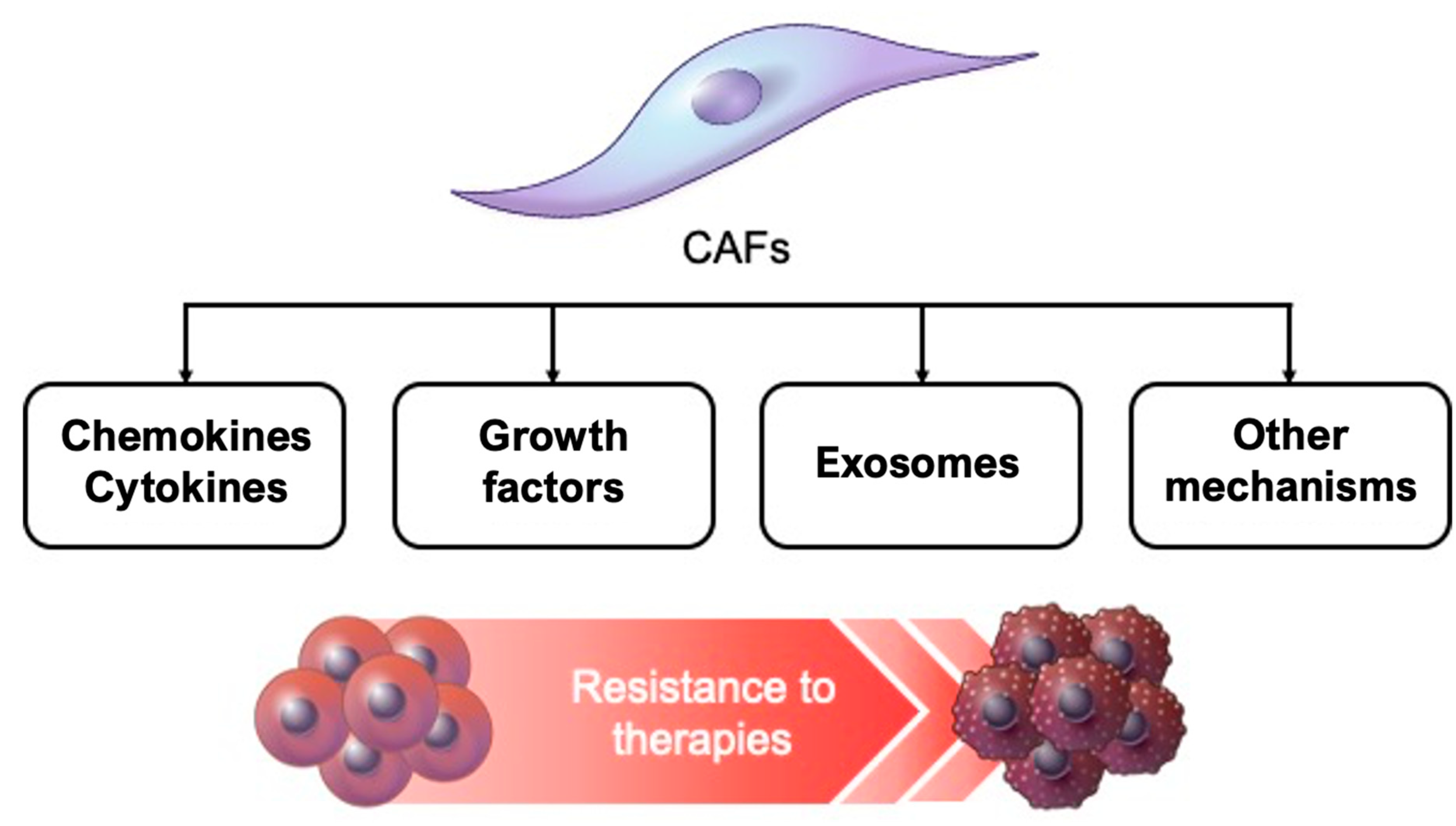 Cancers 13 01172 g003 Cancers 13 01172 g003