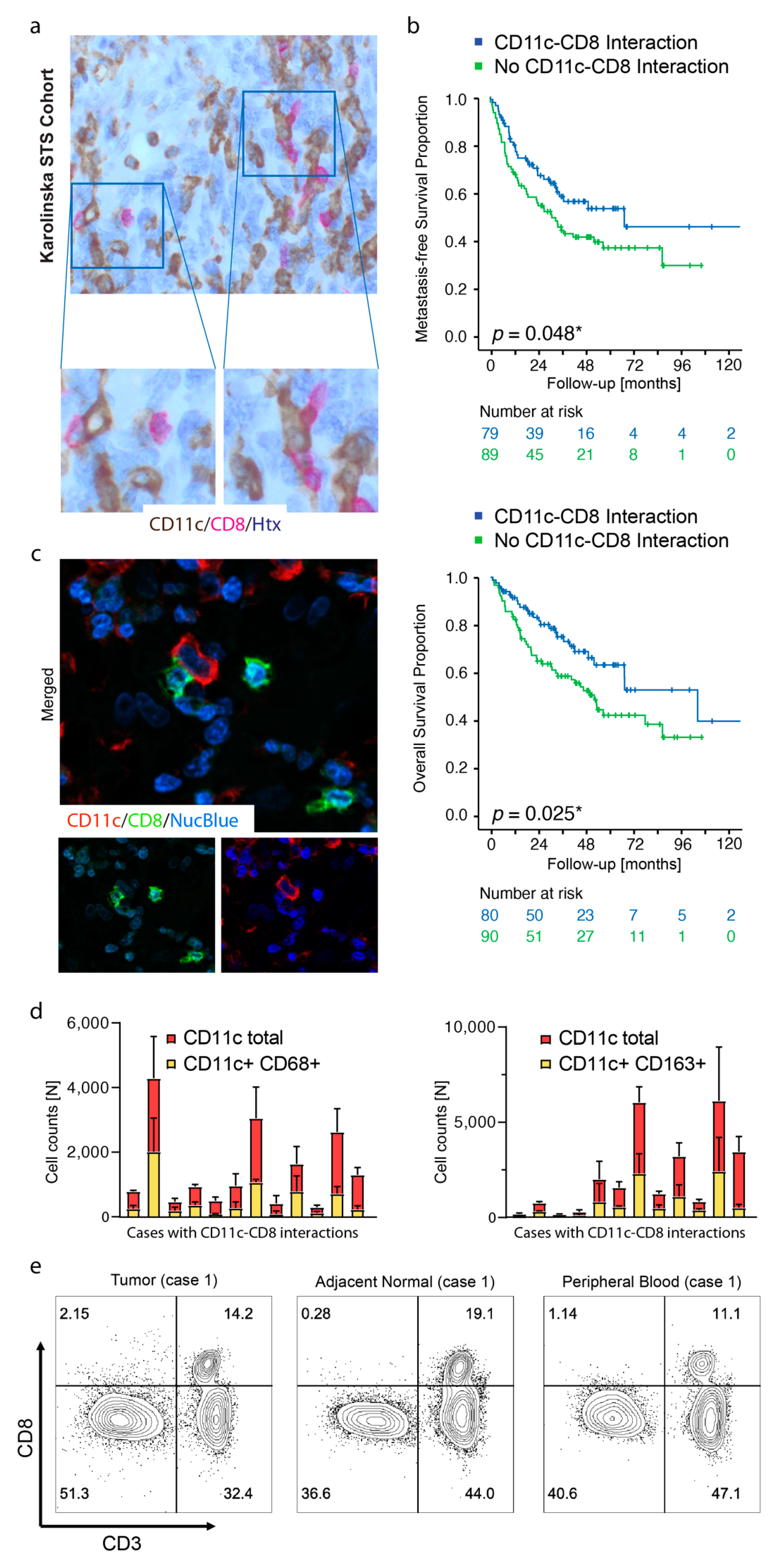 Cancers 13 01175 g001 Cancers 13 01175 g001